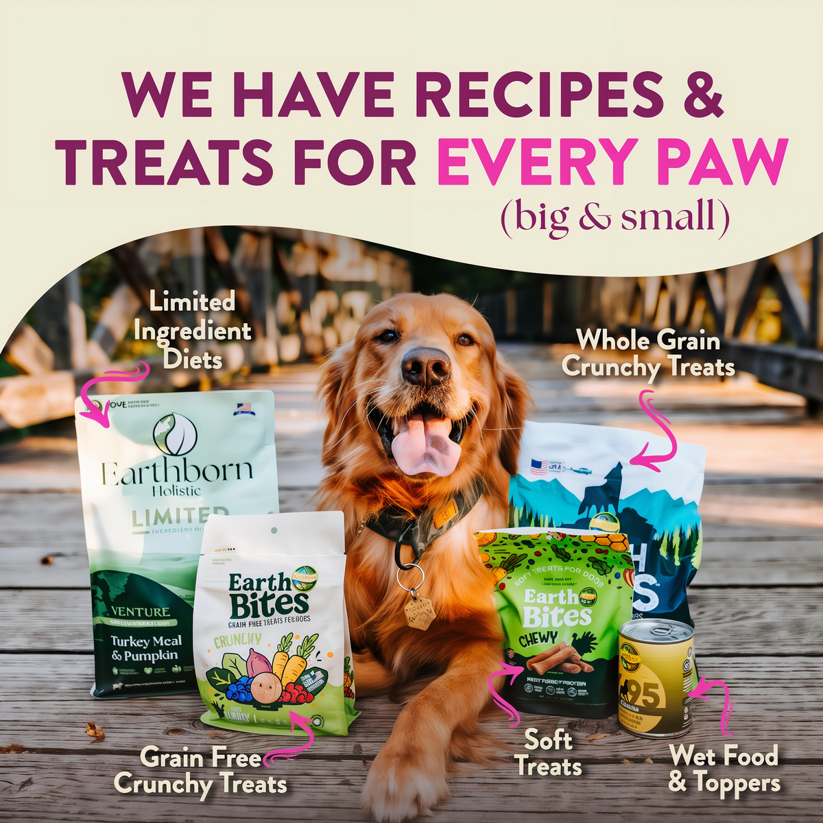 Earthborn Holistic Meadow Feast Grain-Free Lamb Meal & Vegetables Dry Dog Food 4 lb -- other