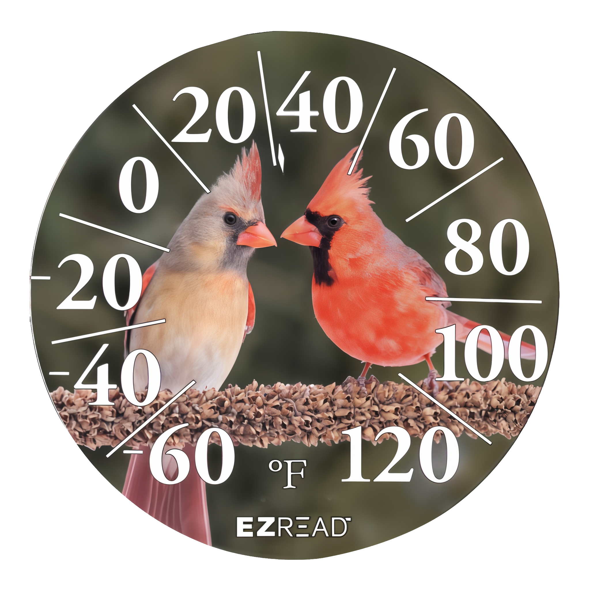 EZ Read 12.5 in Indoor/Outdoor Dial Thermometer, Cardinal design, white background removed
