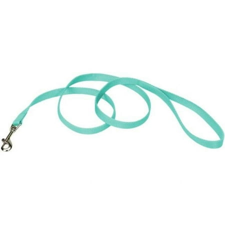 Coastal Pet Single-Ply Teal Nylon Dog Lead, 6 ft length.