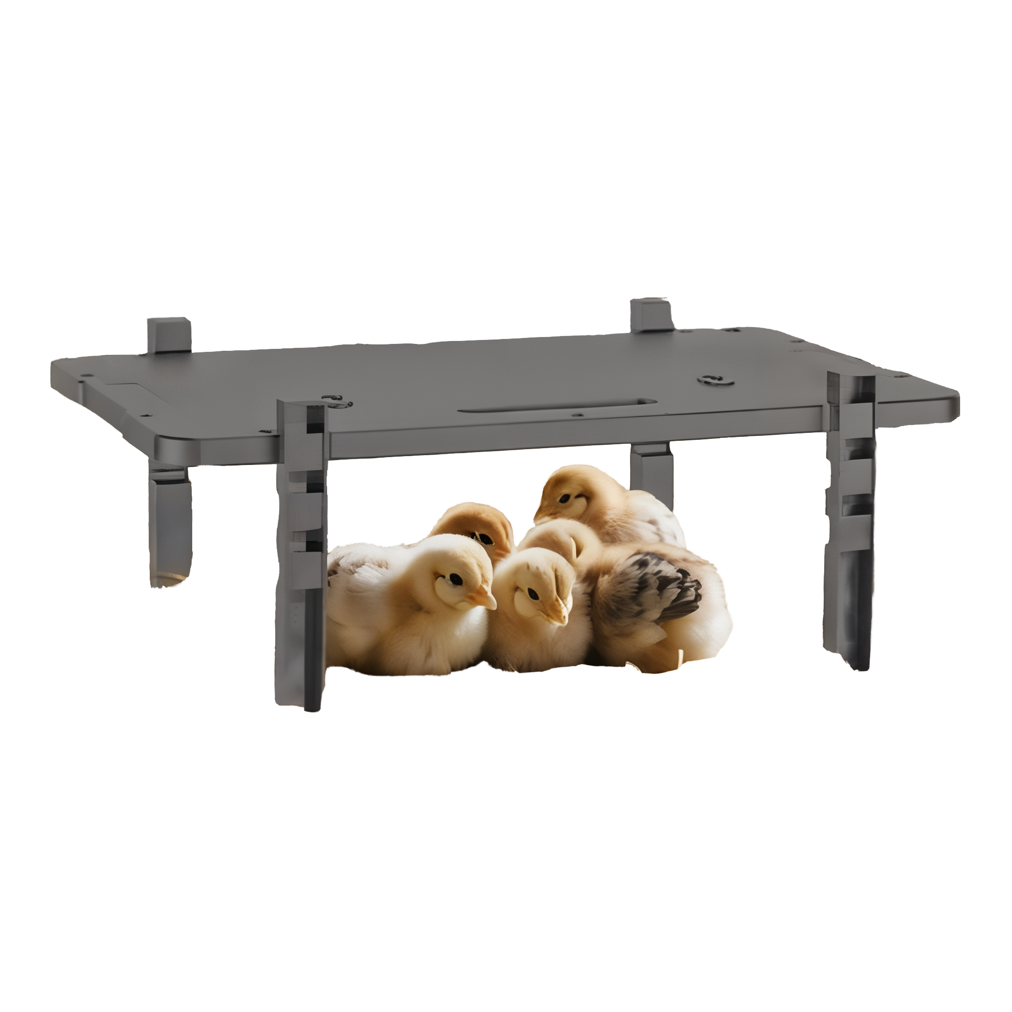 Farm Innovators 2-In-1 Radiant Chicken Coop Panel Heater
