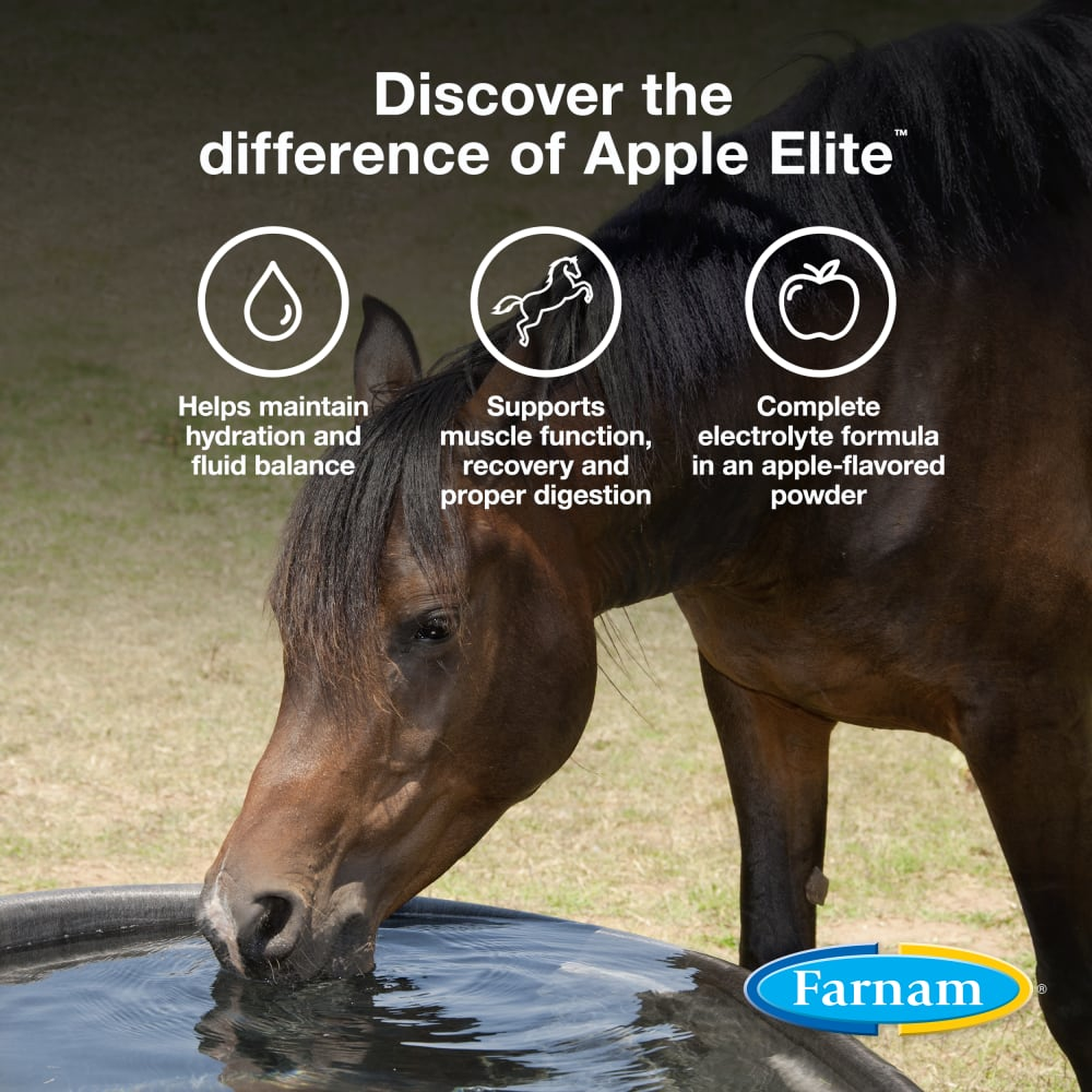 Farnam Apple Elite Electrolyte Powder (2)