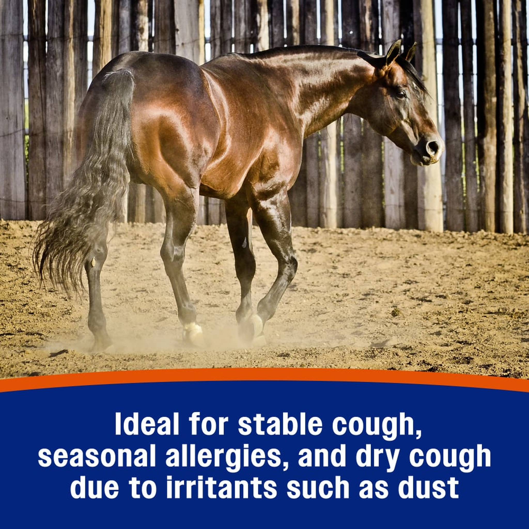 Ideal for stable cough, seasonal allergies, and dry cough due to irritants such as dust