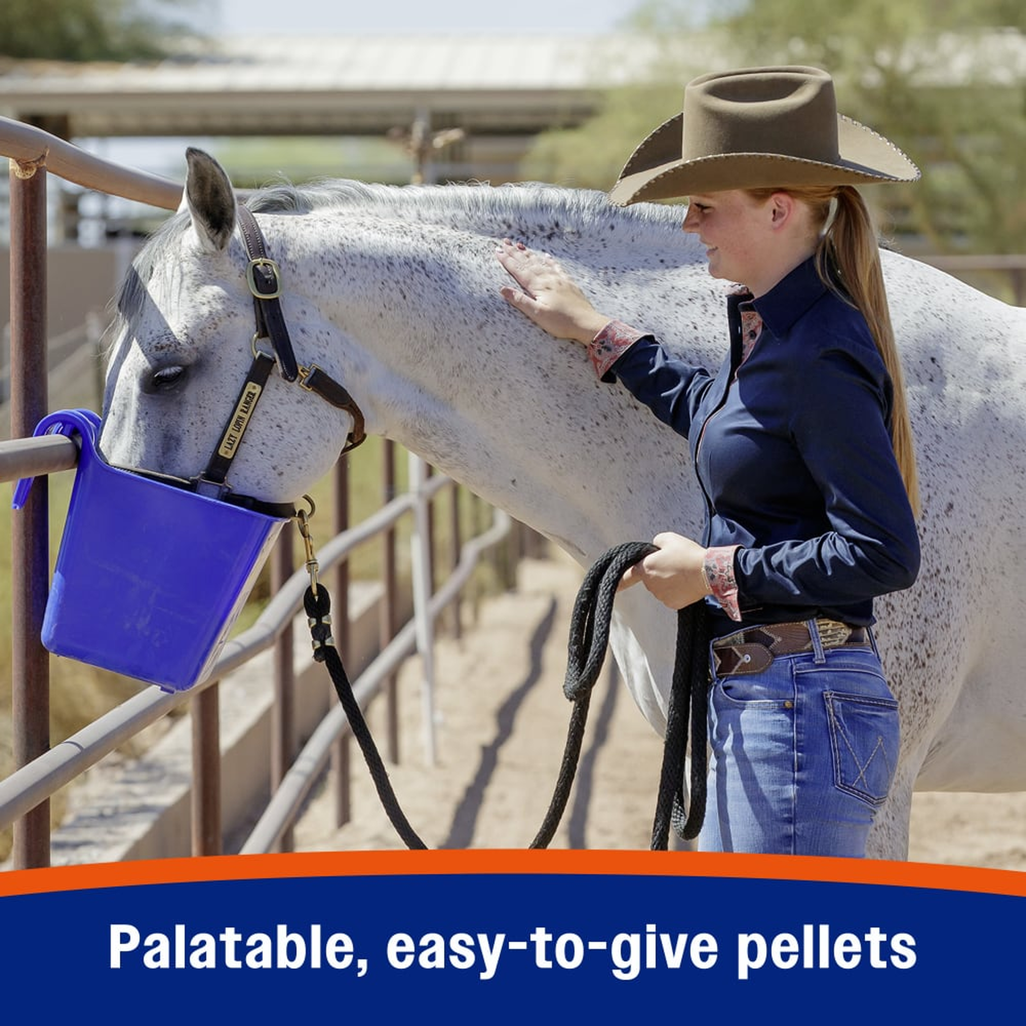 Palatable easy to feed pellets