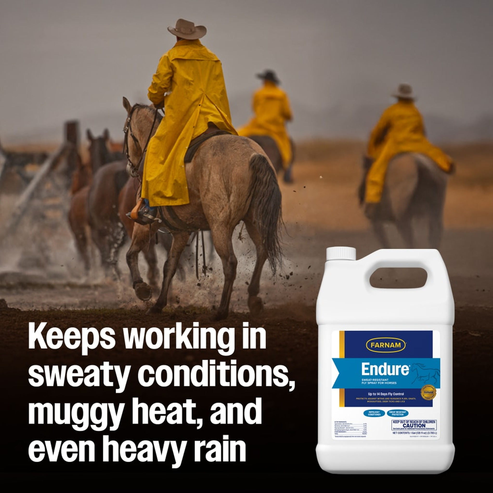 Farnam Endure Sweat-Resistant Fly Spray for Horses (5)