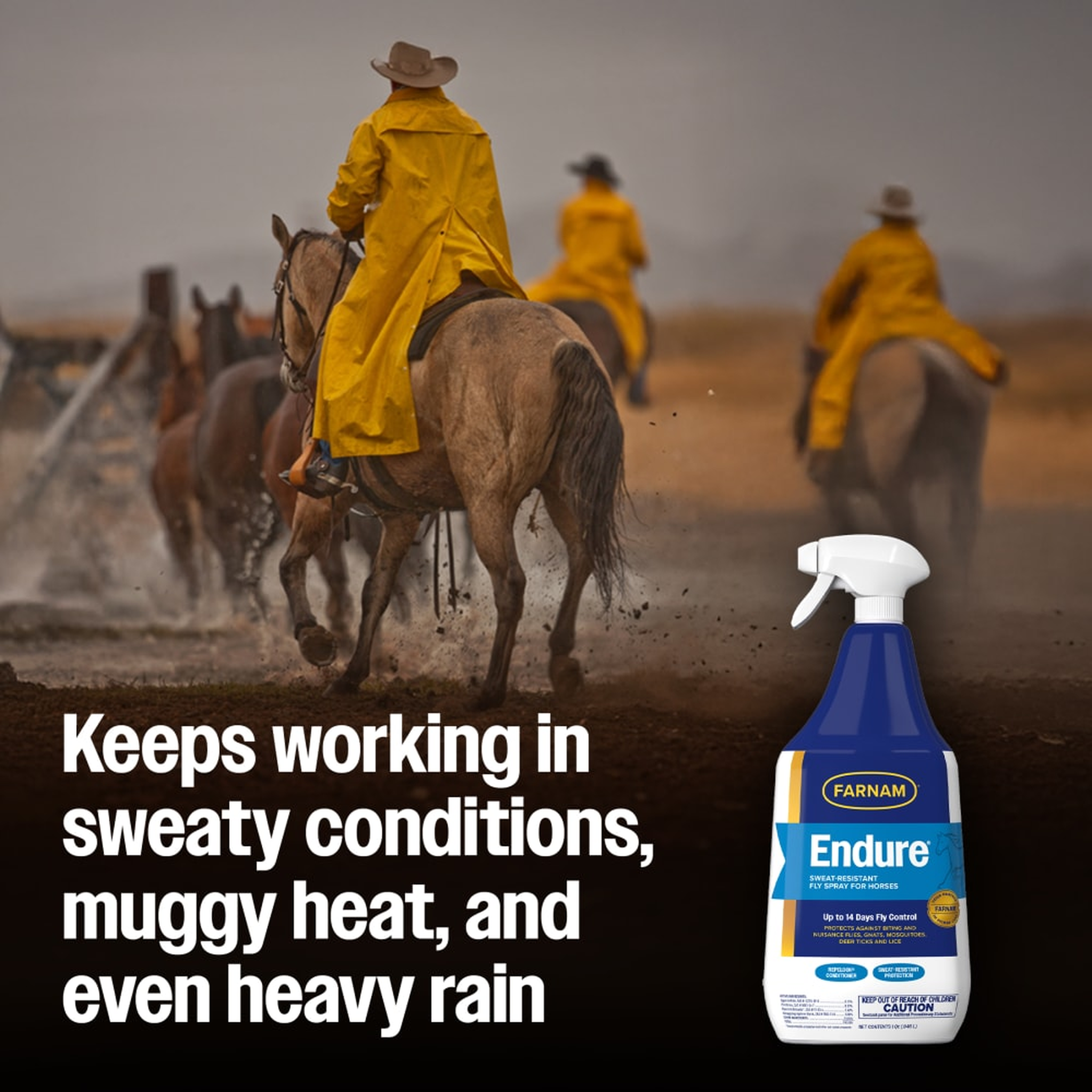 Farnam Endure Sweat-Resistant Fly Spray for Horses (5)