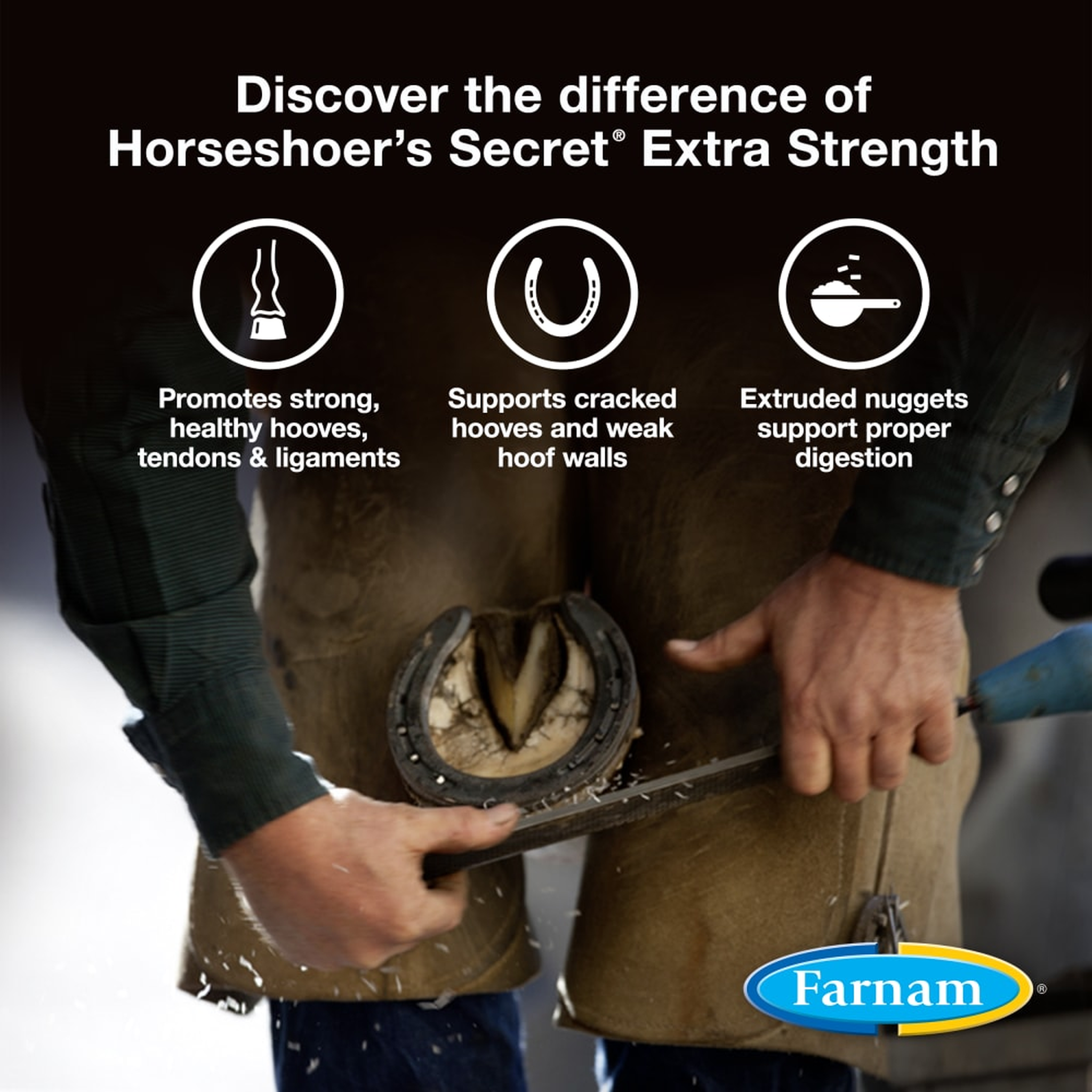 Farnam Horseshoer's Secret Extra Strength Hoof Supplement (2)