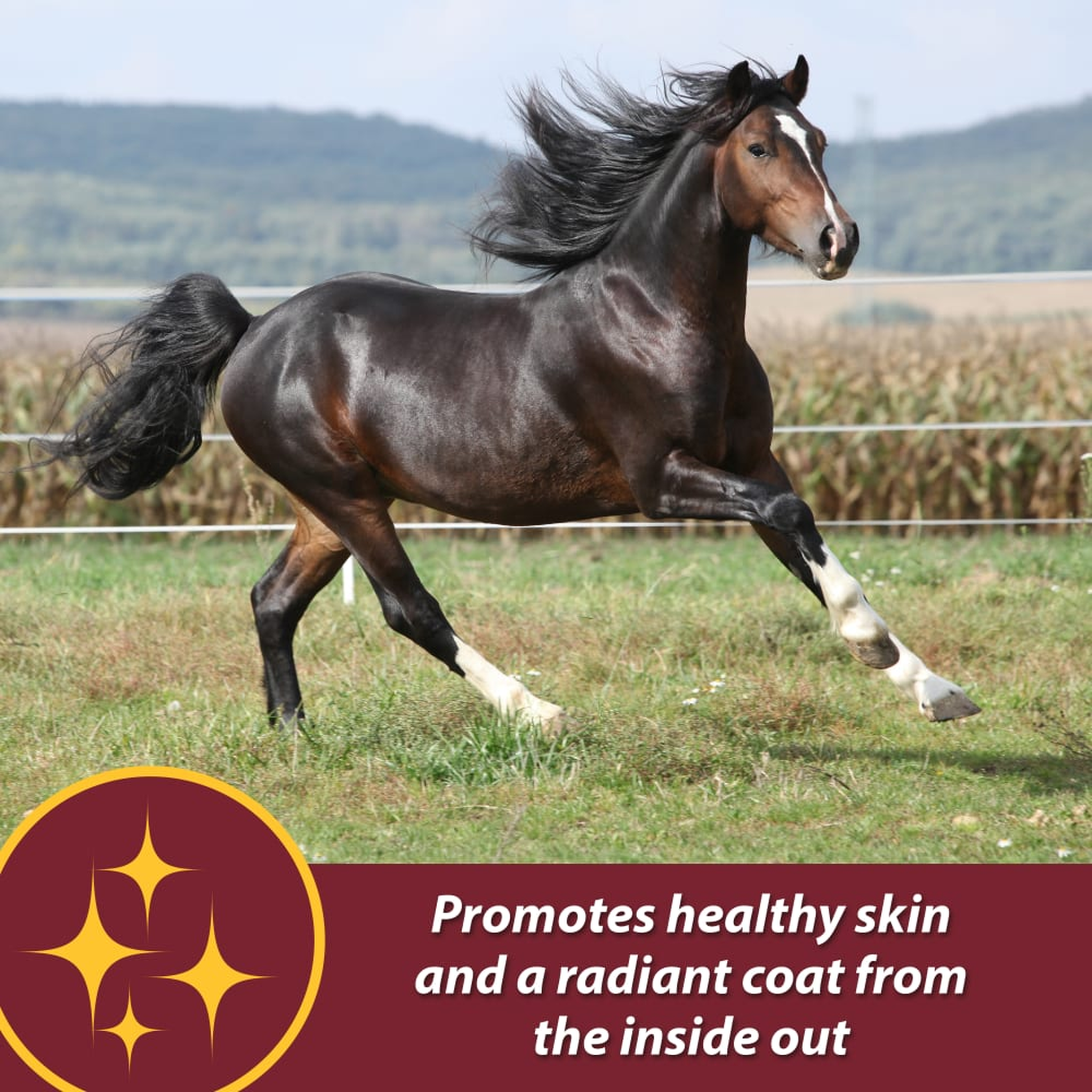 Farnam Laser Sheen Skin & Coat Supplement