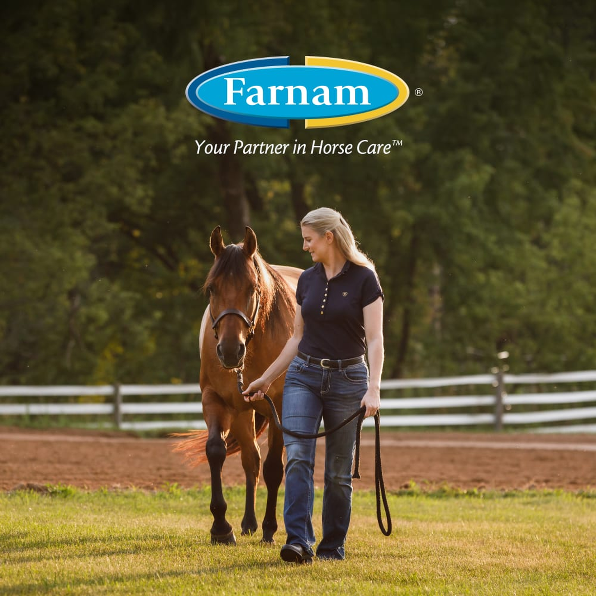 Farnam Leather New Easy-Polishing Glycerine Saddle Soap being used on a horse
