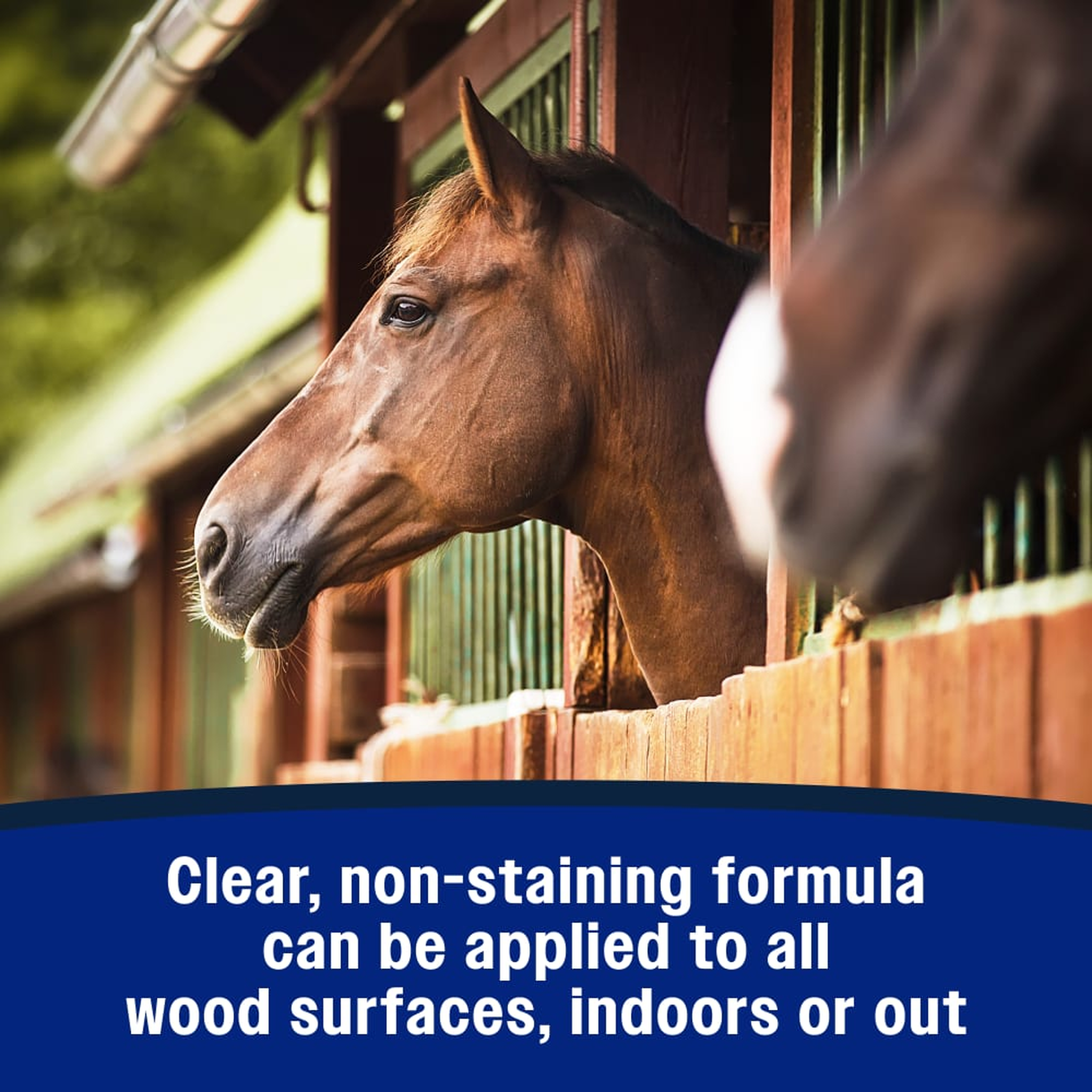 Farnam No Chew Clear Spray (2)