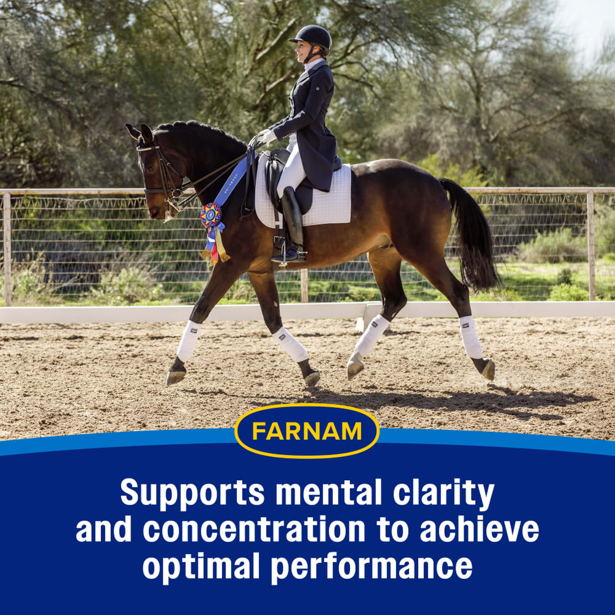 Farnam Quietex Show Paste - Supports mental clarity & concentration to achieve optimal performance