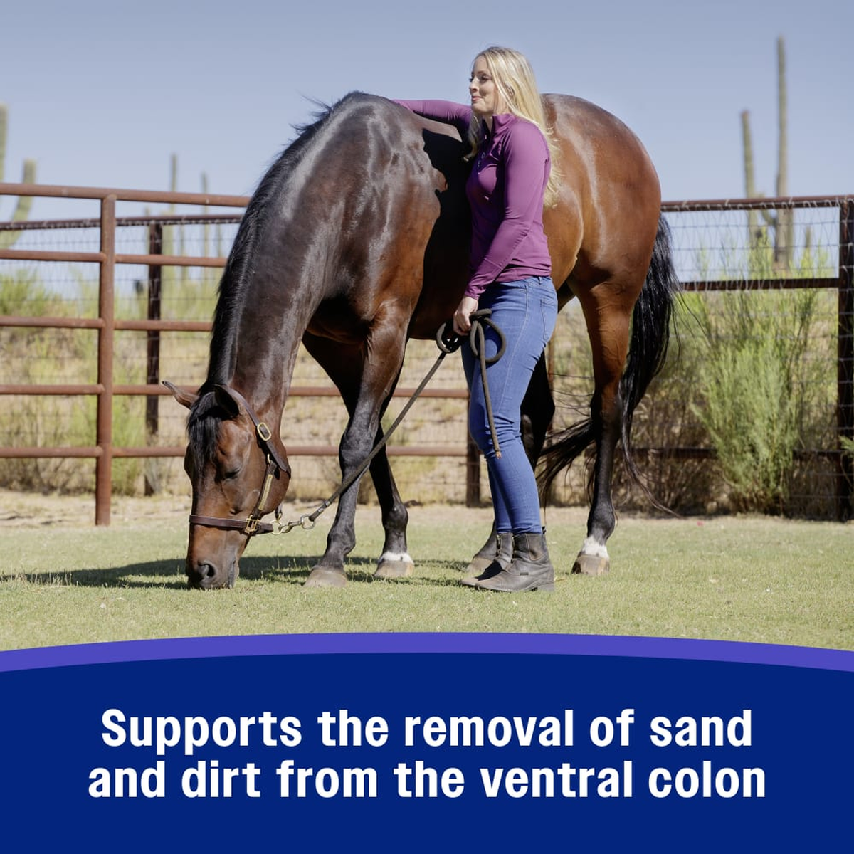 Farnam SandClear Natural Psyllium Crumbles - Supports the removal of sand and dirt from the ventral colon