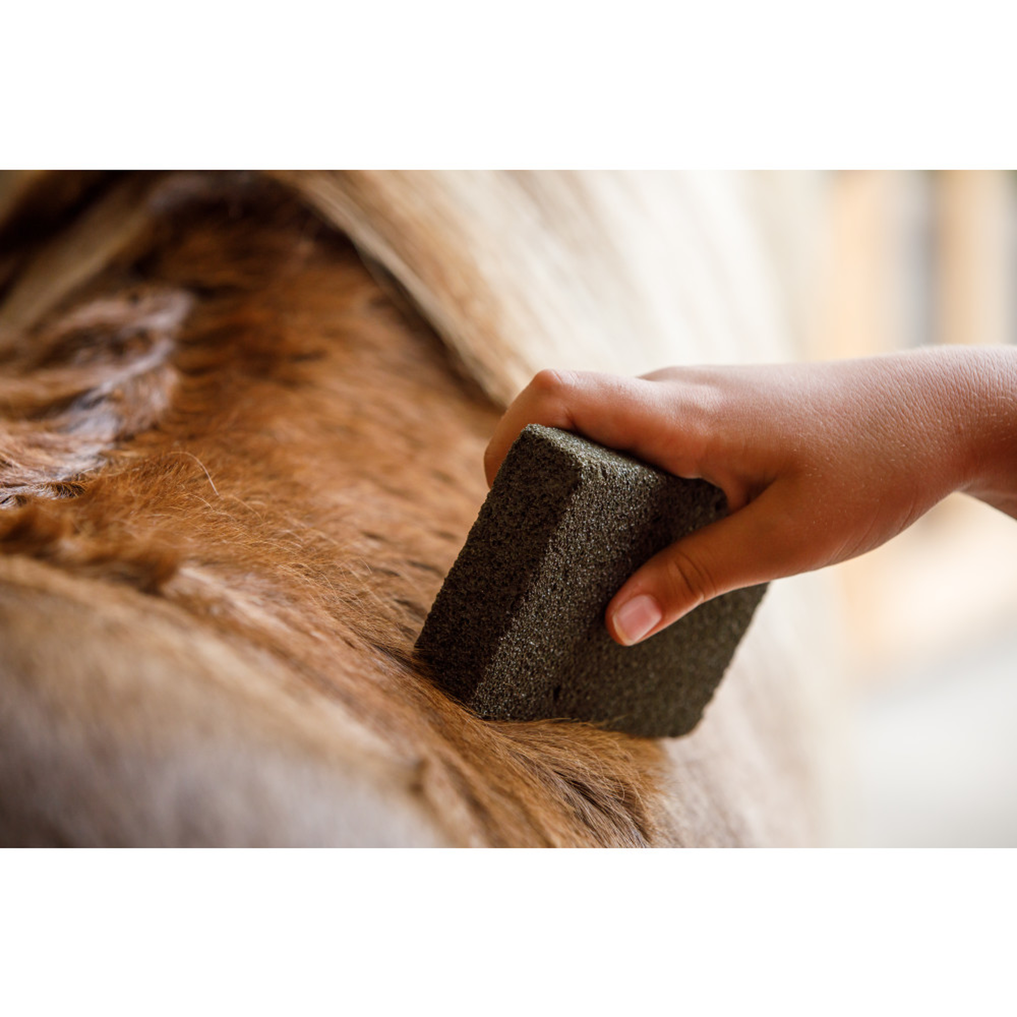 Slick 'N Easy grooming block being scraped across a horse's coat to lift loose hair