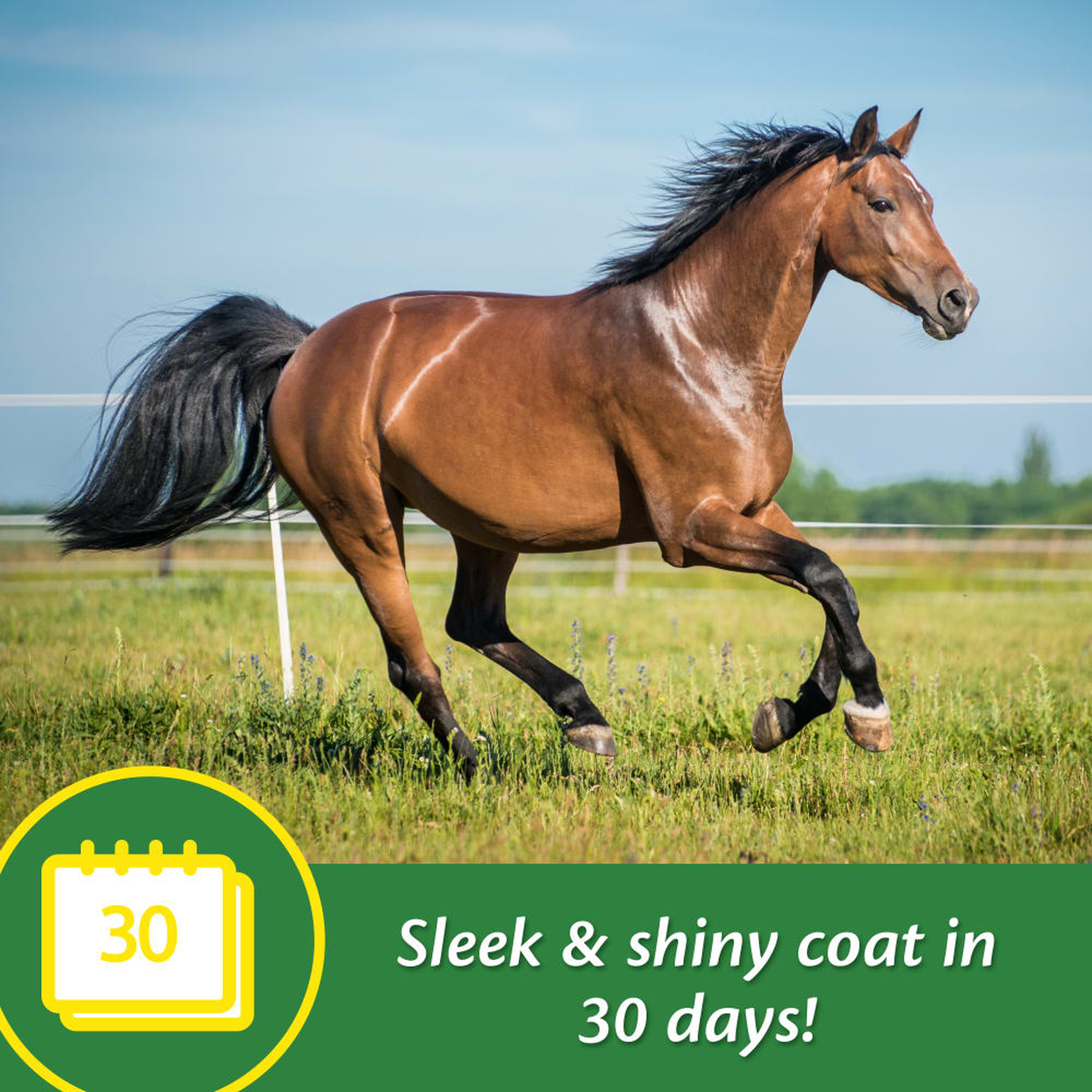 Farnam Super 14 Healthy Skin & Coat Supplement