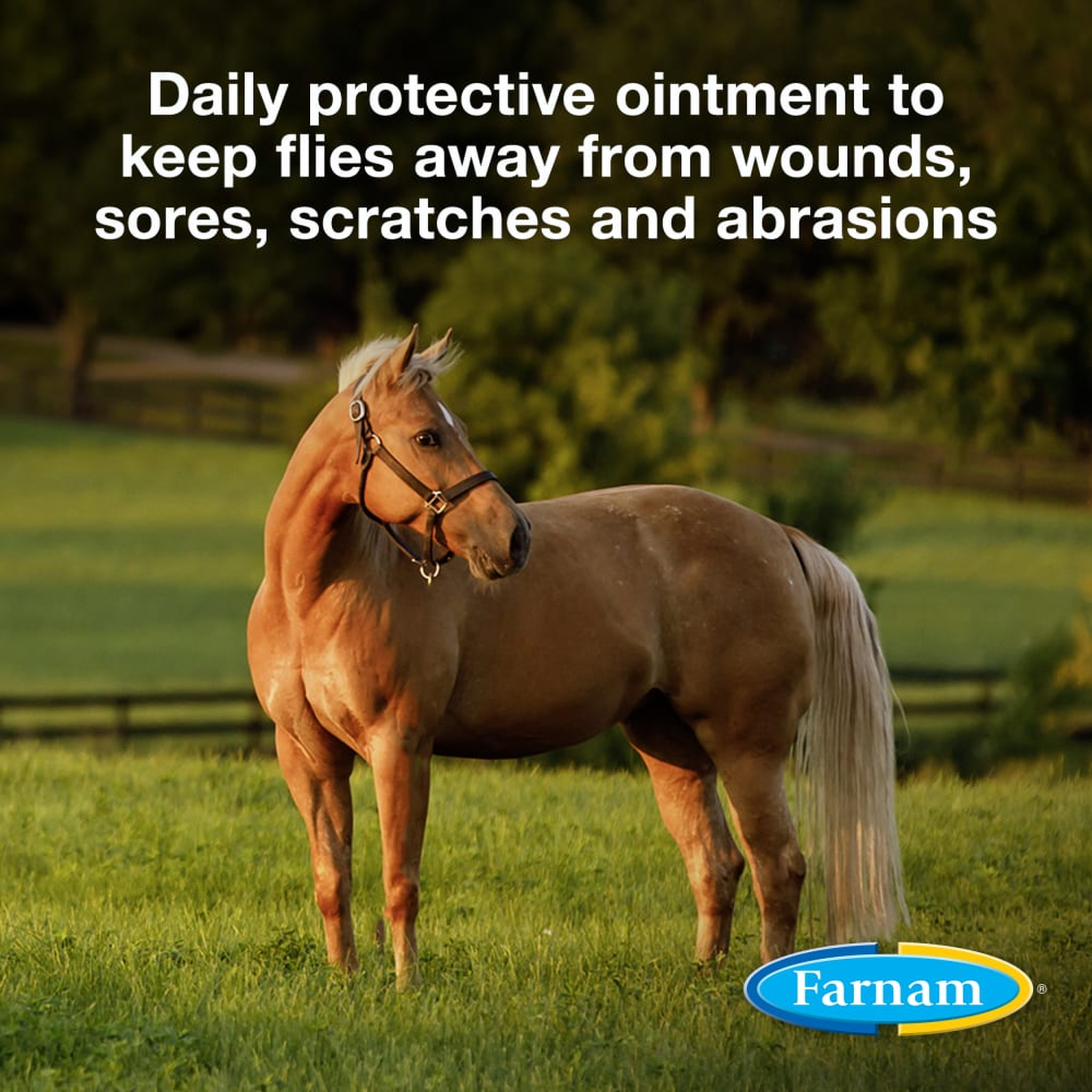Farnam SWAT Fly Repellent Ointment