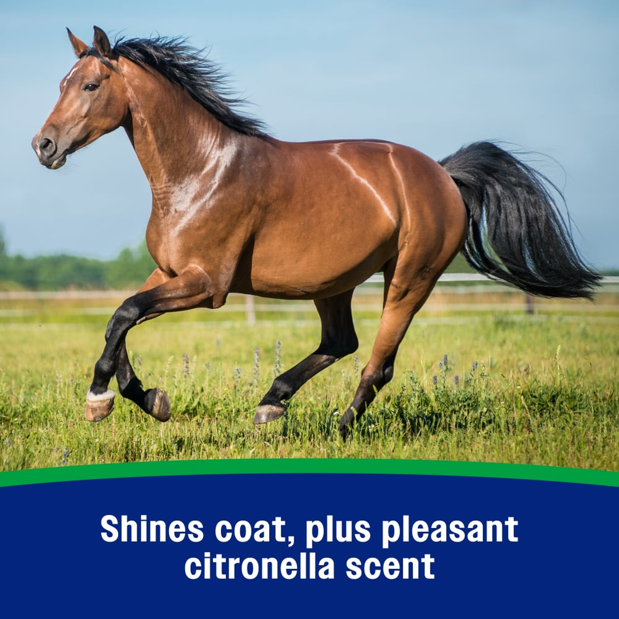 Farnam Wipe II Brand Fly Spray with Citronella (3)