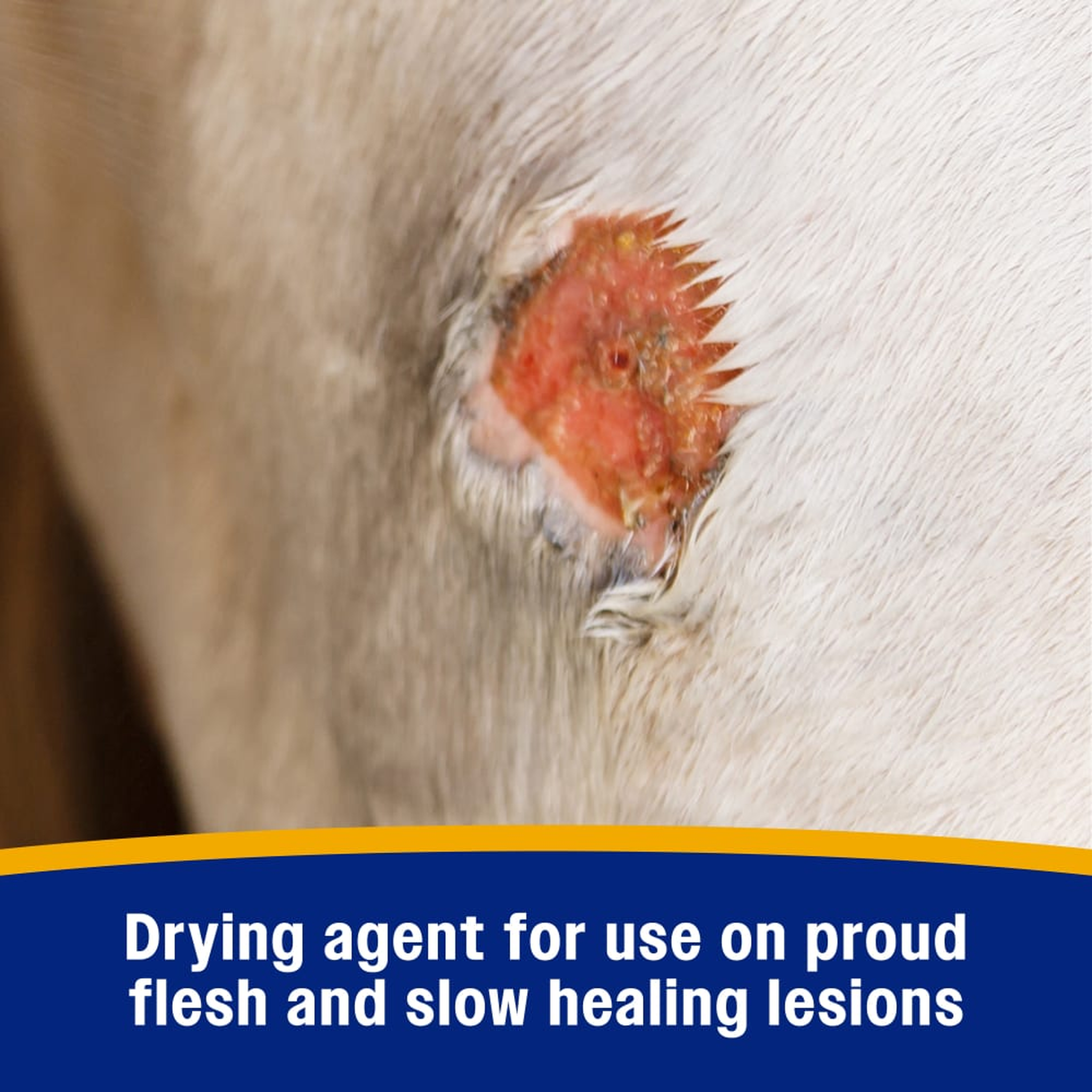 Farnam Wonder Dust Wound Powder - Drying agent for use on proud flesh and slow healing lesions