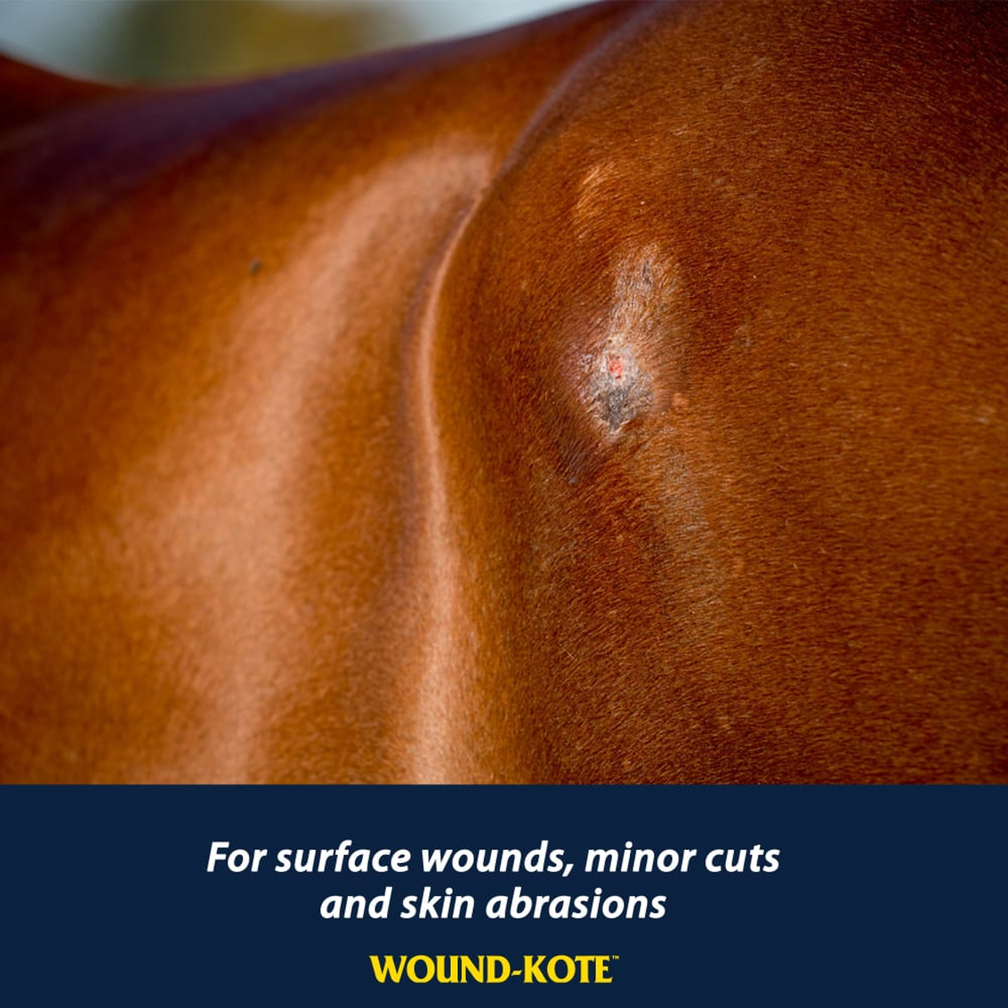 Farnam Wound-Kote Blue Lotion Spray Wound Dressing (2)