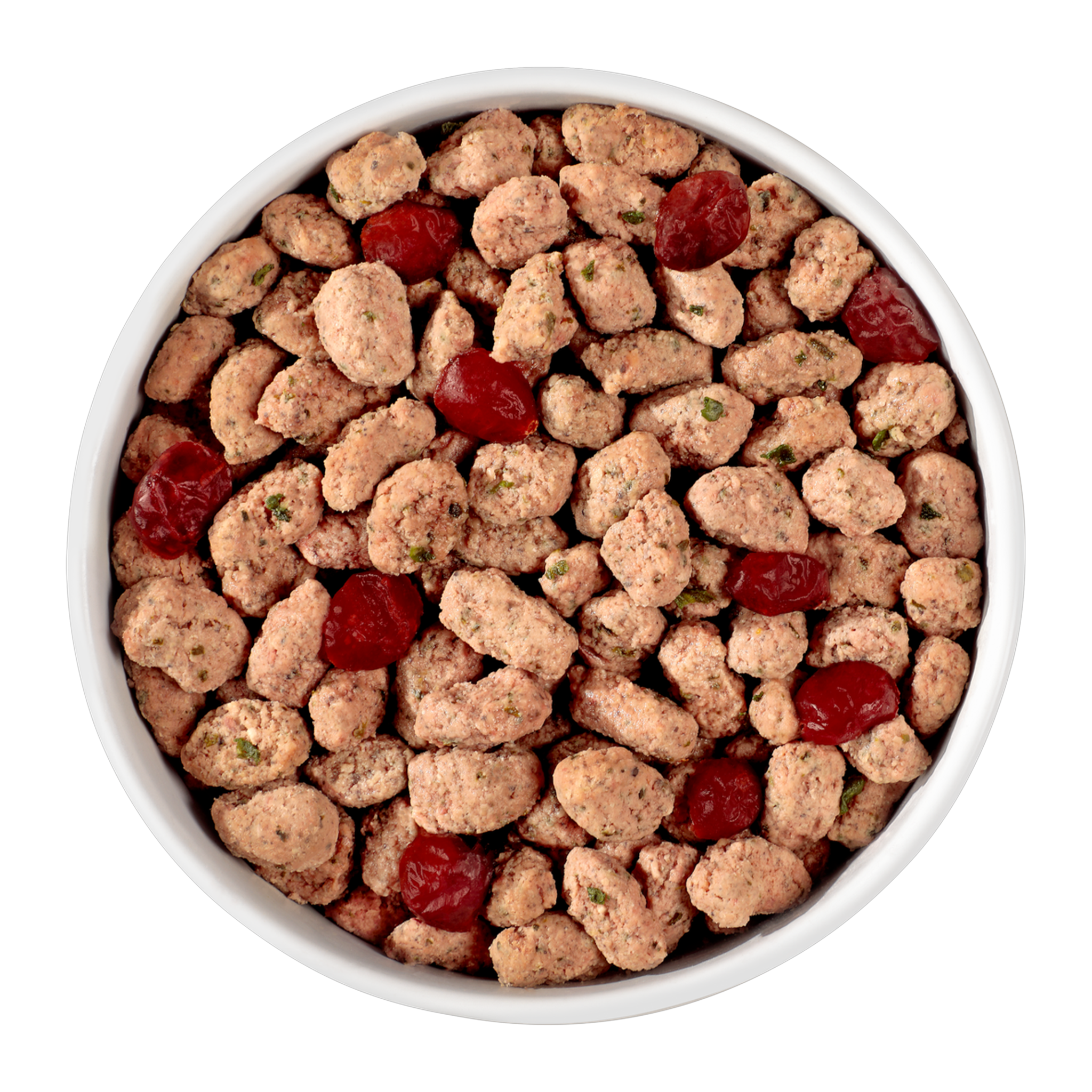 Freshpet Vital Grain Free Beef and Lamb fresh dog food served in a bowl with cranberries