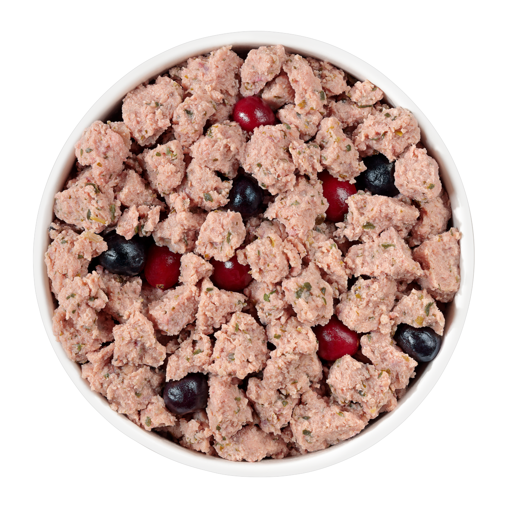 Freshpet Vital Grain Free Chicken fresh dog food served in a bowl with visible blueberries and cranberries