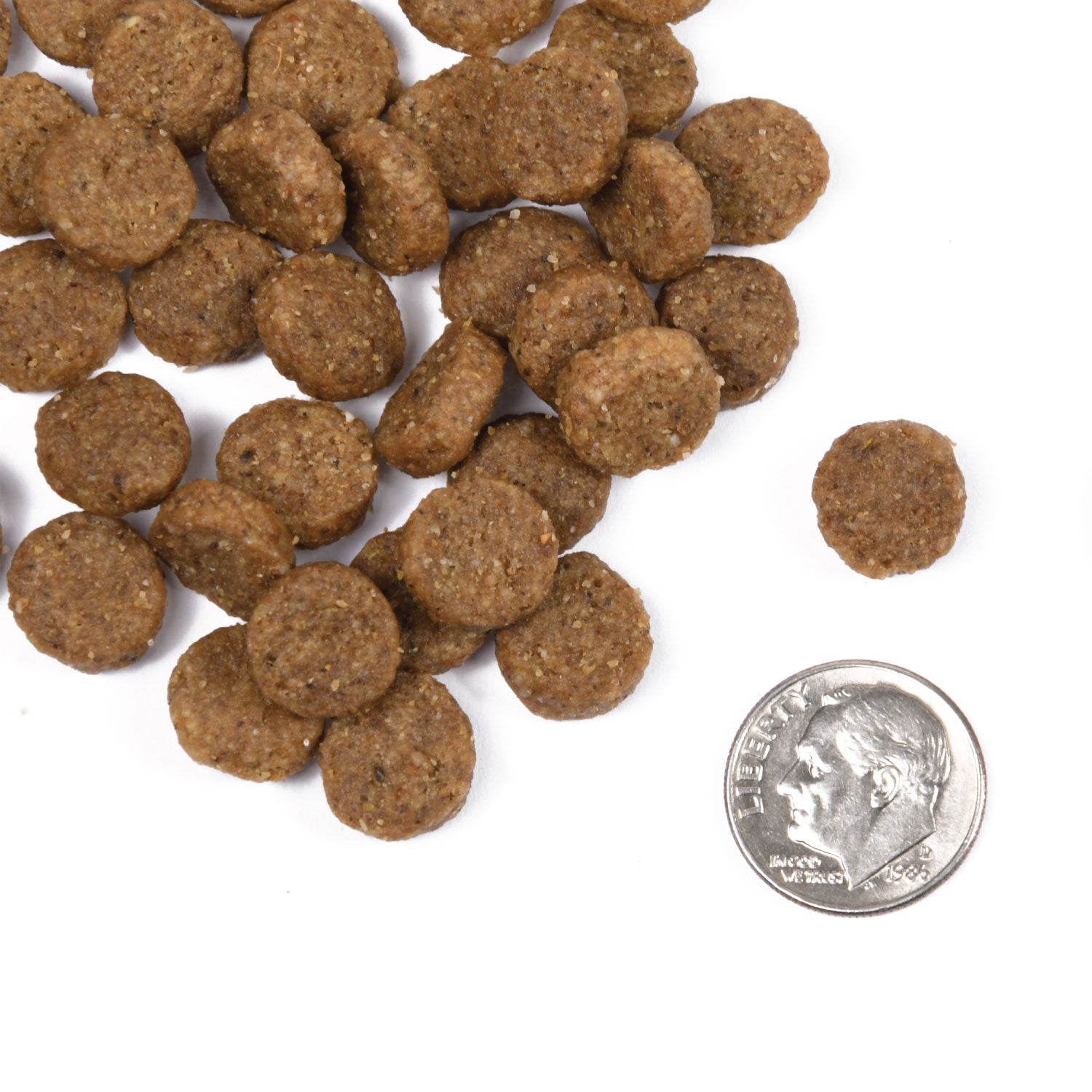 A small pile of Fromm Classic Adult kibble next to a dime for scale
