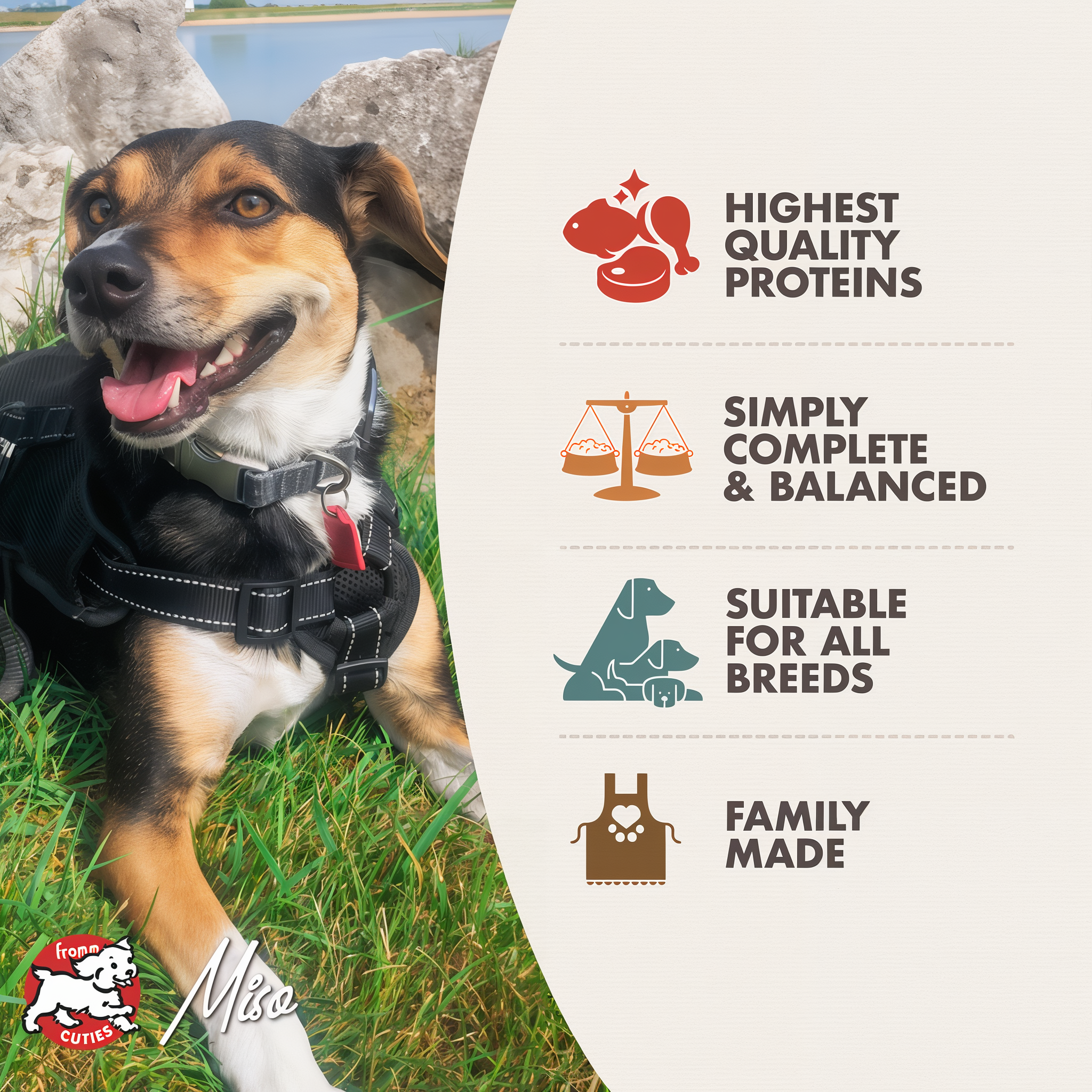Fromm Cuties dog Miso with Fromm Classic benefits: highest quality proteins, simply complete and balanced, suitable for all breeds, family made