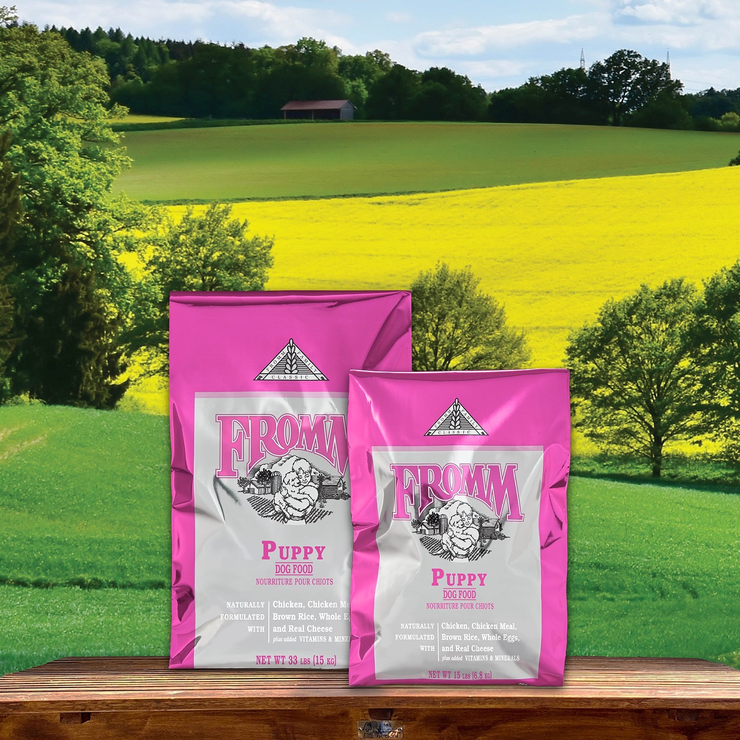 Two sizes of Fromm Classic Puppy bags on a bench before a green country field