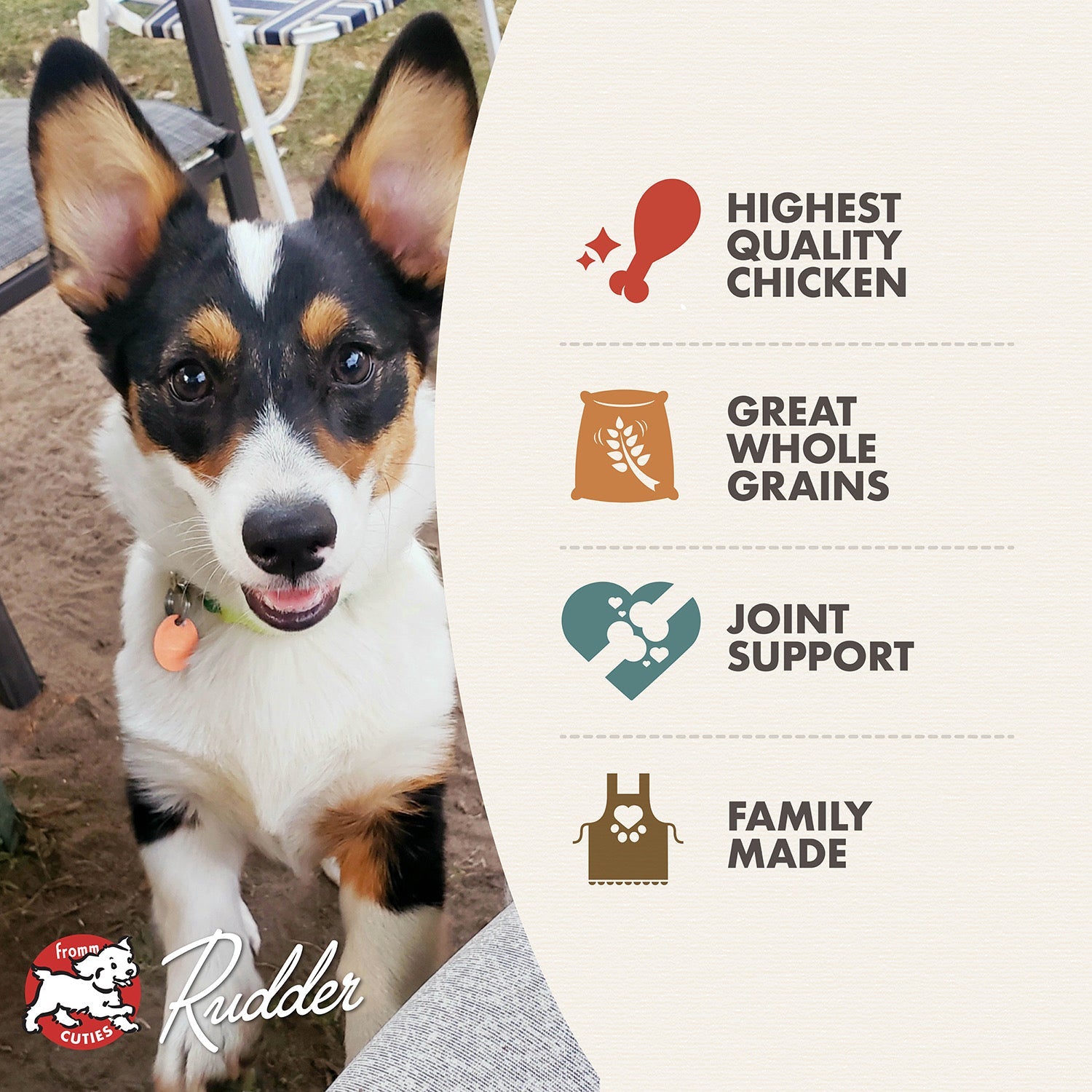 Fromm Cuties puppy Rudder with Classic Puppy benefits: highest quality chicken, great whole grains, joint support, family made