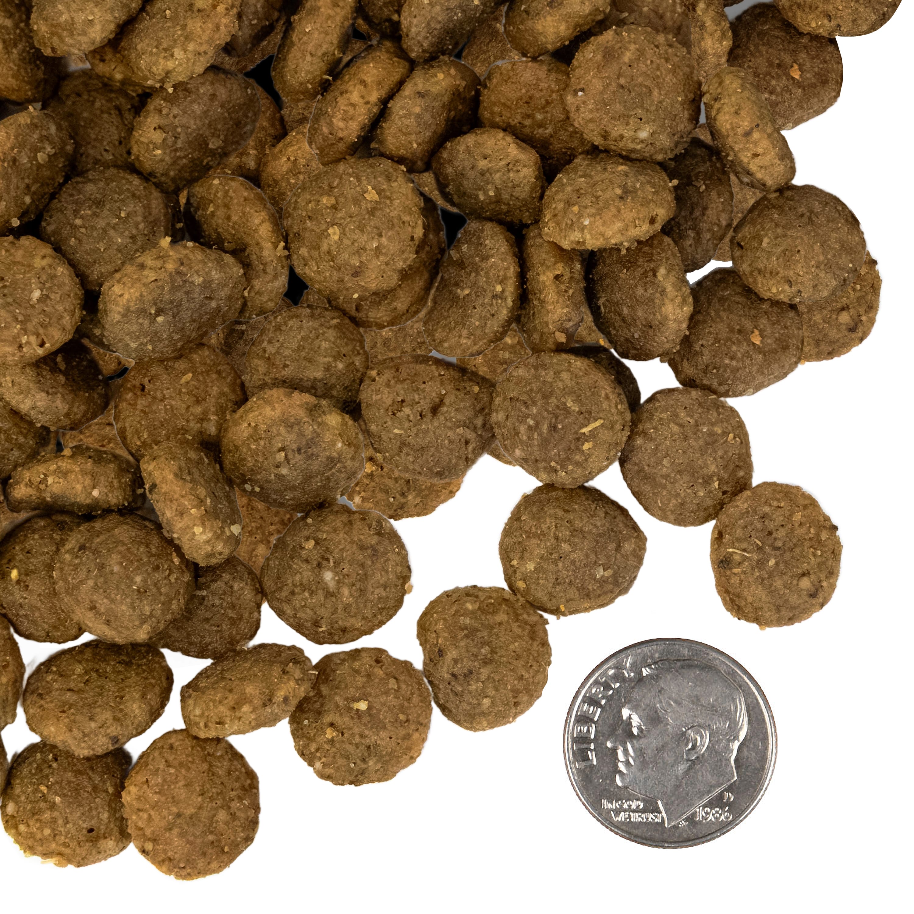 A small pile of Fromm Classic Whitefish and Rice kibble next to a dime for scale