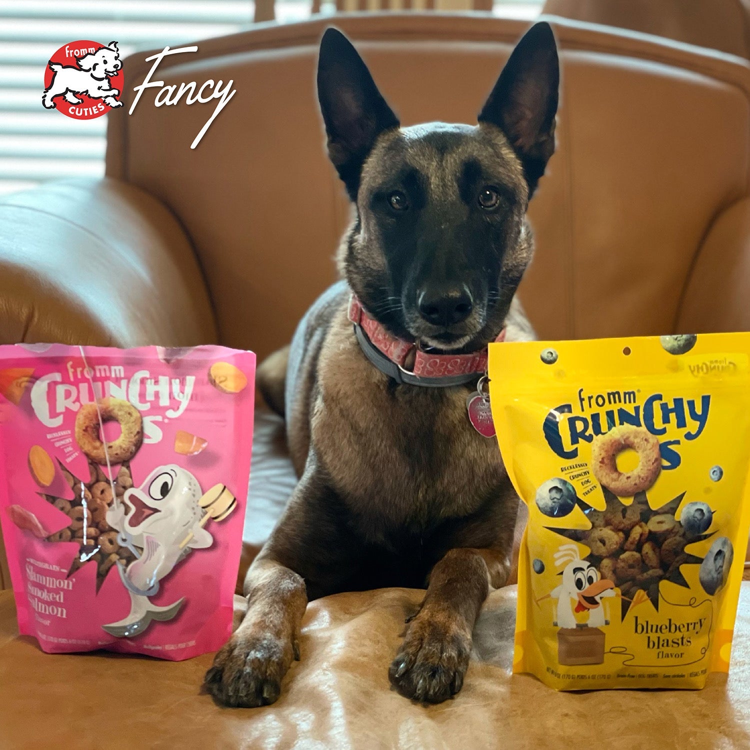 Dog Fancy with bags of Fromm Crunchy O's Slammon' and Blueberry Blasts, from the Fromm Cuties gallery