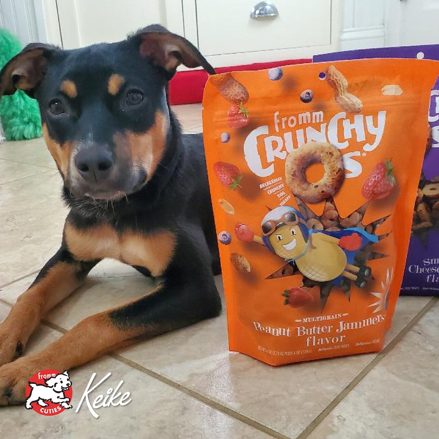 Dog Keike lying beside a bag of Fromm Crunchy O's Peanut Butter Jammers, from the Fromm Cuties gallery
