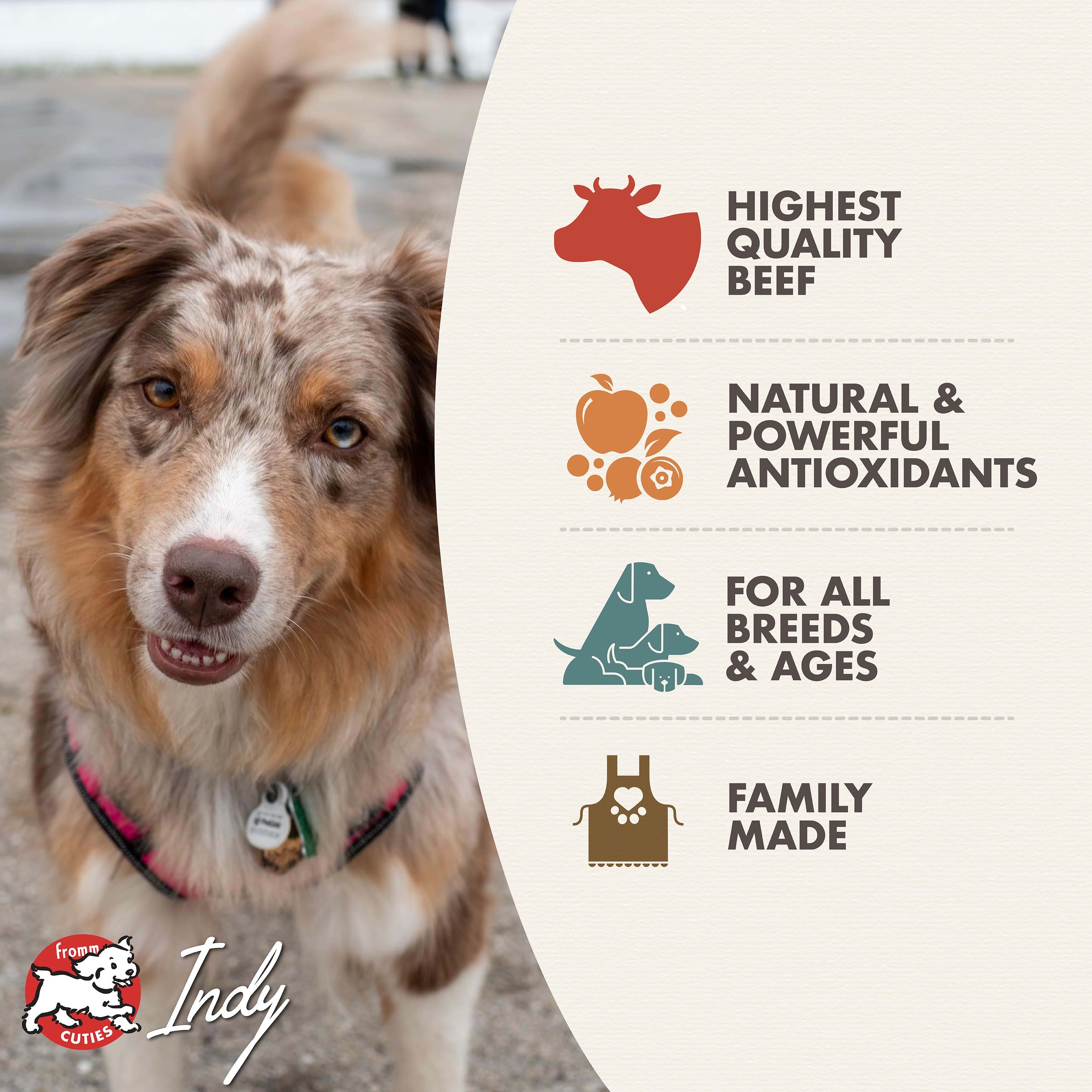 Fromm Cuties dog Indy with Steak & Eggs benefits: highest quality beef, natural and powerful antioxidants, for all breeds and ages, family made