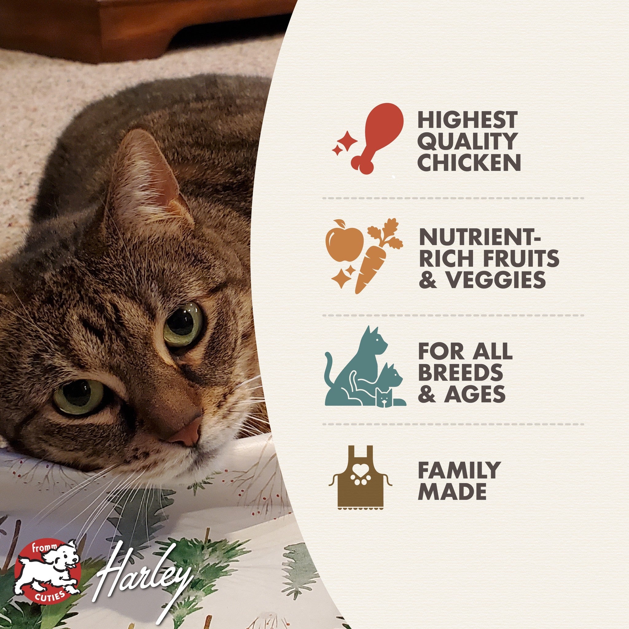 Fromm Four-Star cat food benefits: highest quality chicken, fruits and veggies, all breeds and ages, family made