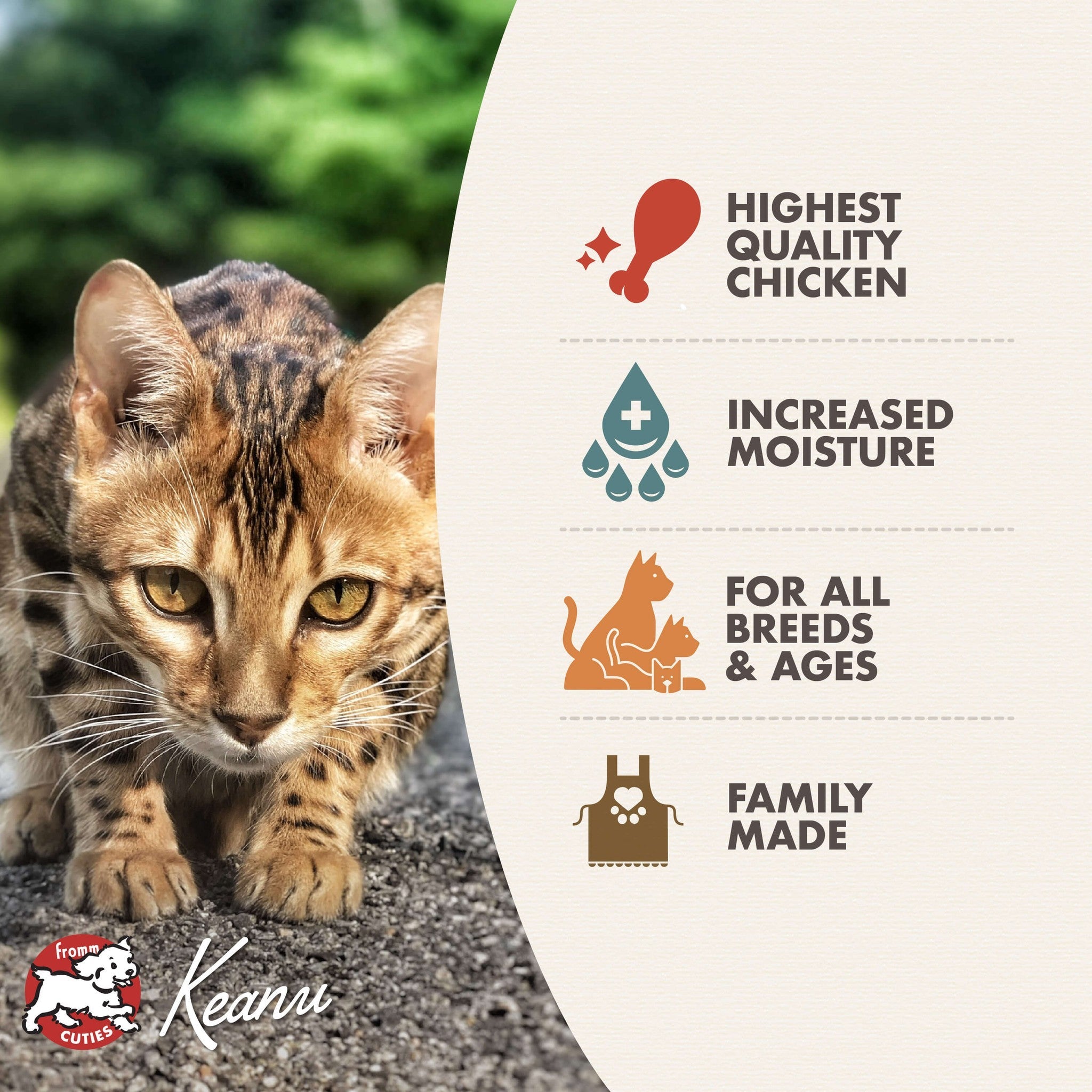 Fromm Cuties cat Keanu with Four-Star canned cat food benefits: highest quality chicken, increased moisture, for all breeds and ages, family made