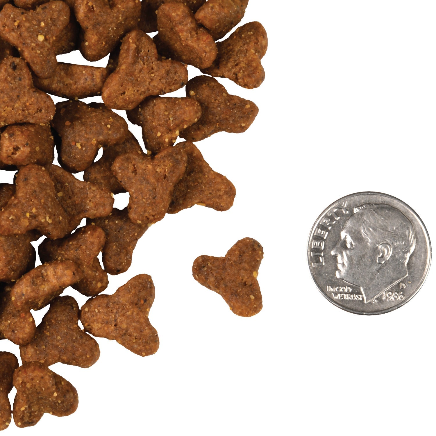 A small pile of Fromm Four-Star Game Bird kibble next to a dime for scale