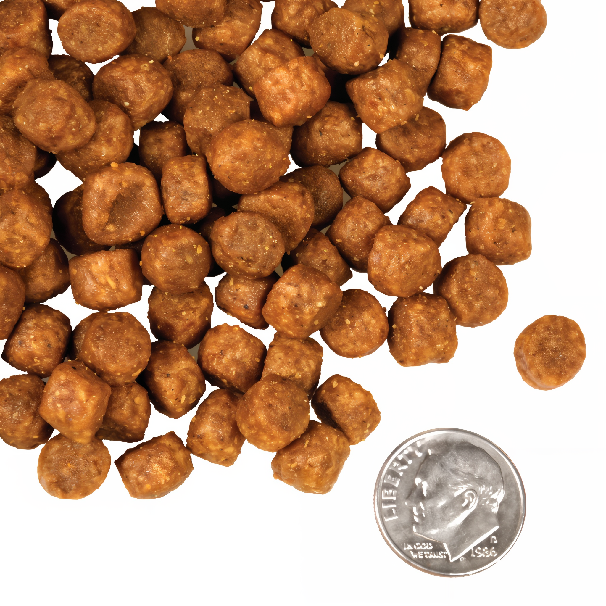 A small pile of Fromm Game Bird Recipe kibble next to a dime for scale