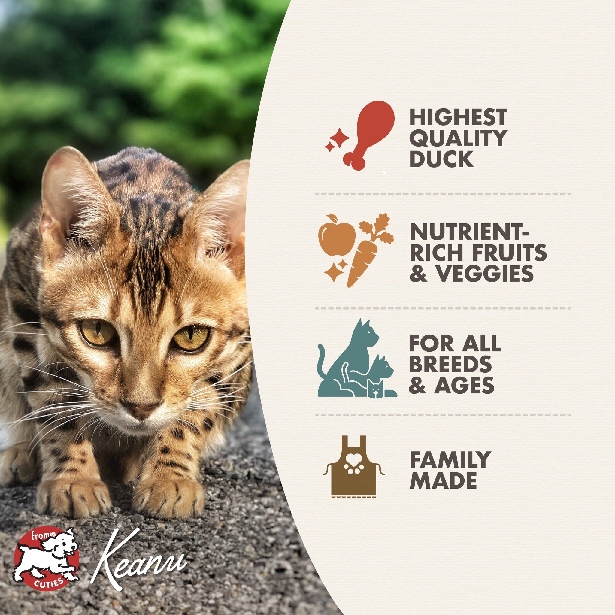 Fromm Four-Star Hasen Duckenpfeffer cat food benefits: highest quality duck, nutrient-rich fruits and veggies, all breeds and ages, family made