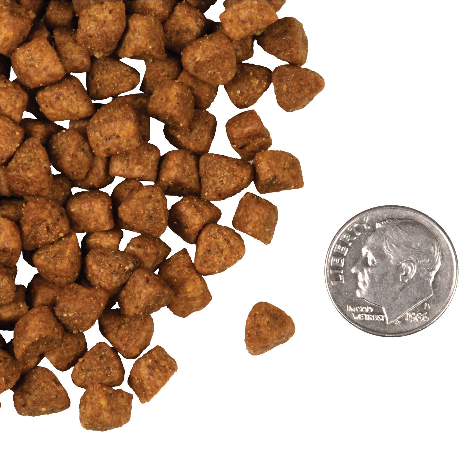 A small pile of Fromm Four-Star Hasen Duckenpfeffer cat kibble next to a dime for scale