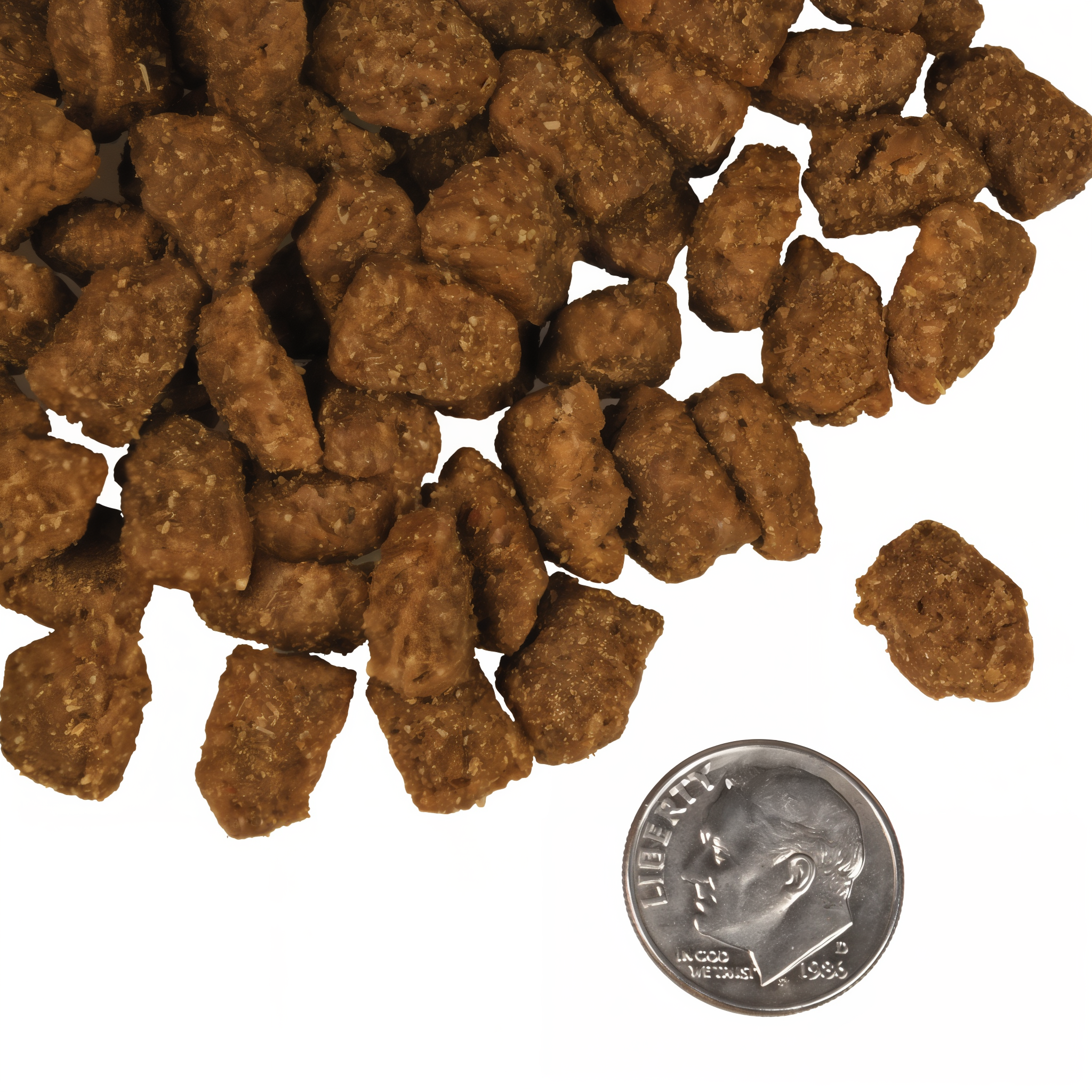 A small pile of Fromm Four-Star Highlander Beef kibble next to a dime for scale