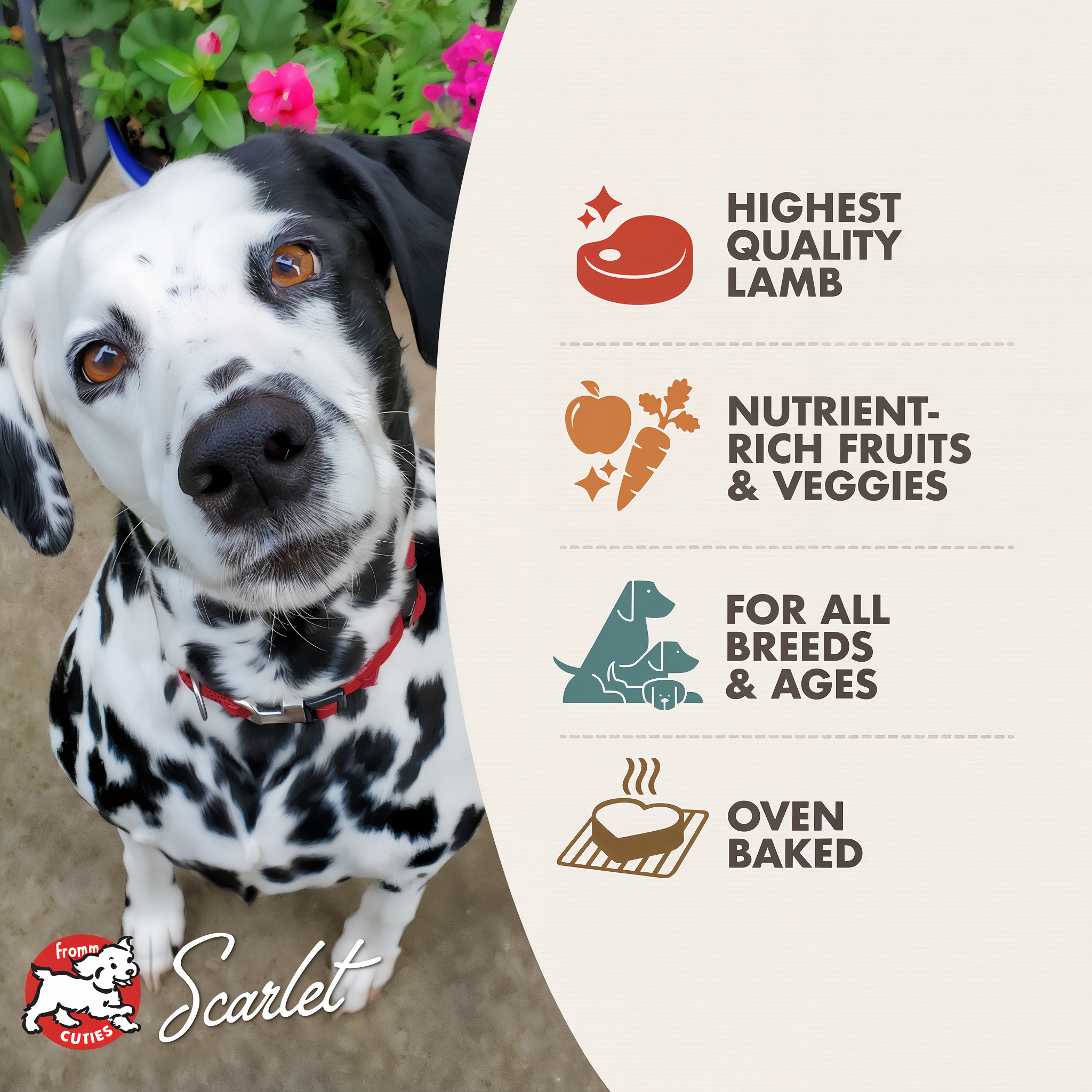Fromm Cuties dog Scarlet with Four-Star treat benefits: highest quality lamb, nutrient-rich fruits and veggies, for all breeds and ages, oven baked