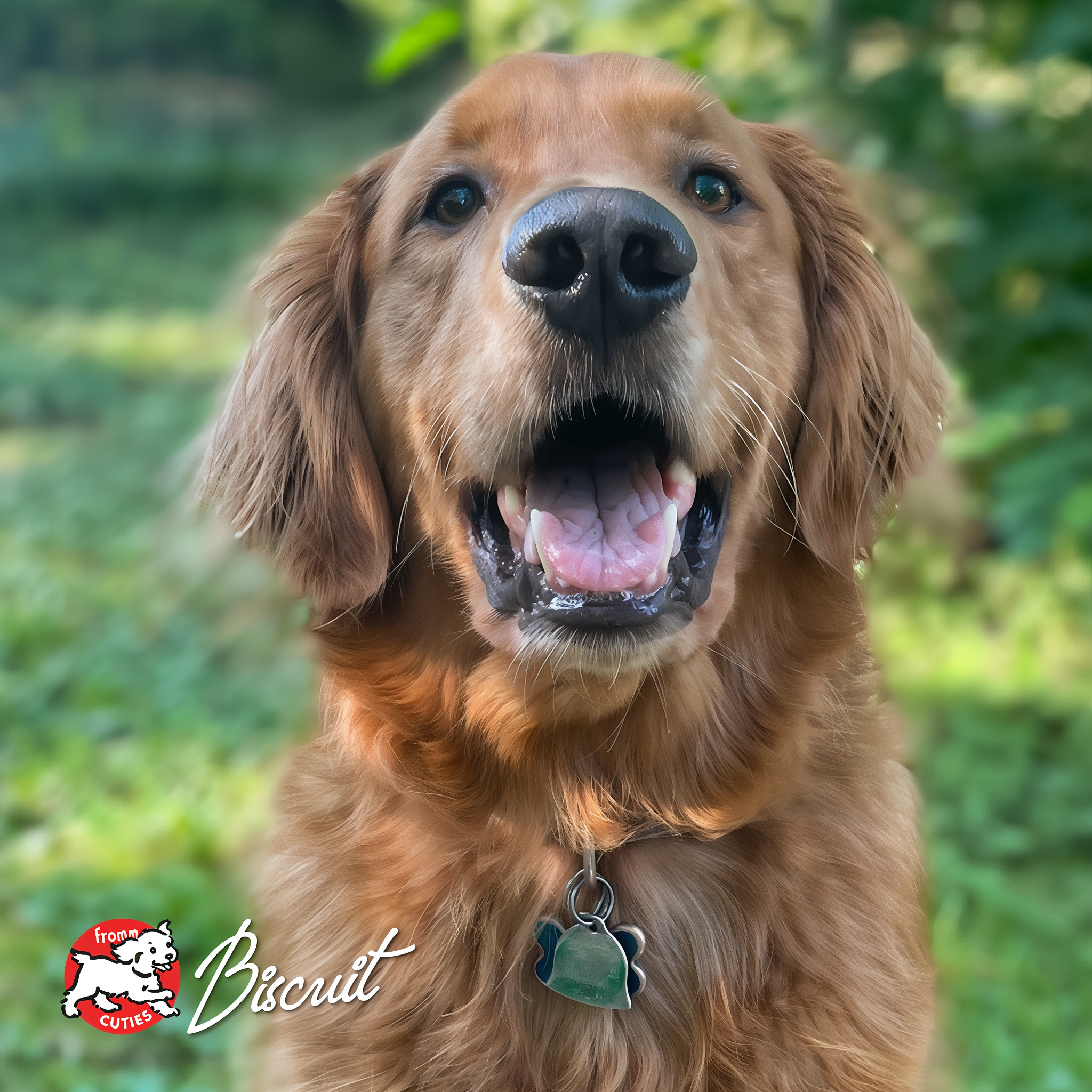 Dog named Biscuit smiling outdoors in a leafy yard, from the Fromm Cuties gallery