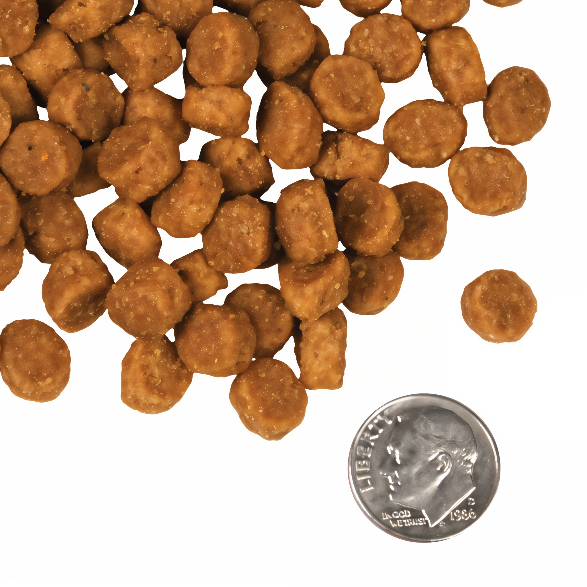 A small pile of Fromm Pork and Peas kibble next to a dime for scale