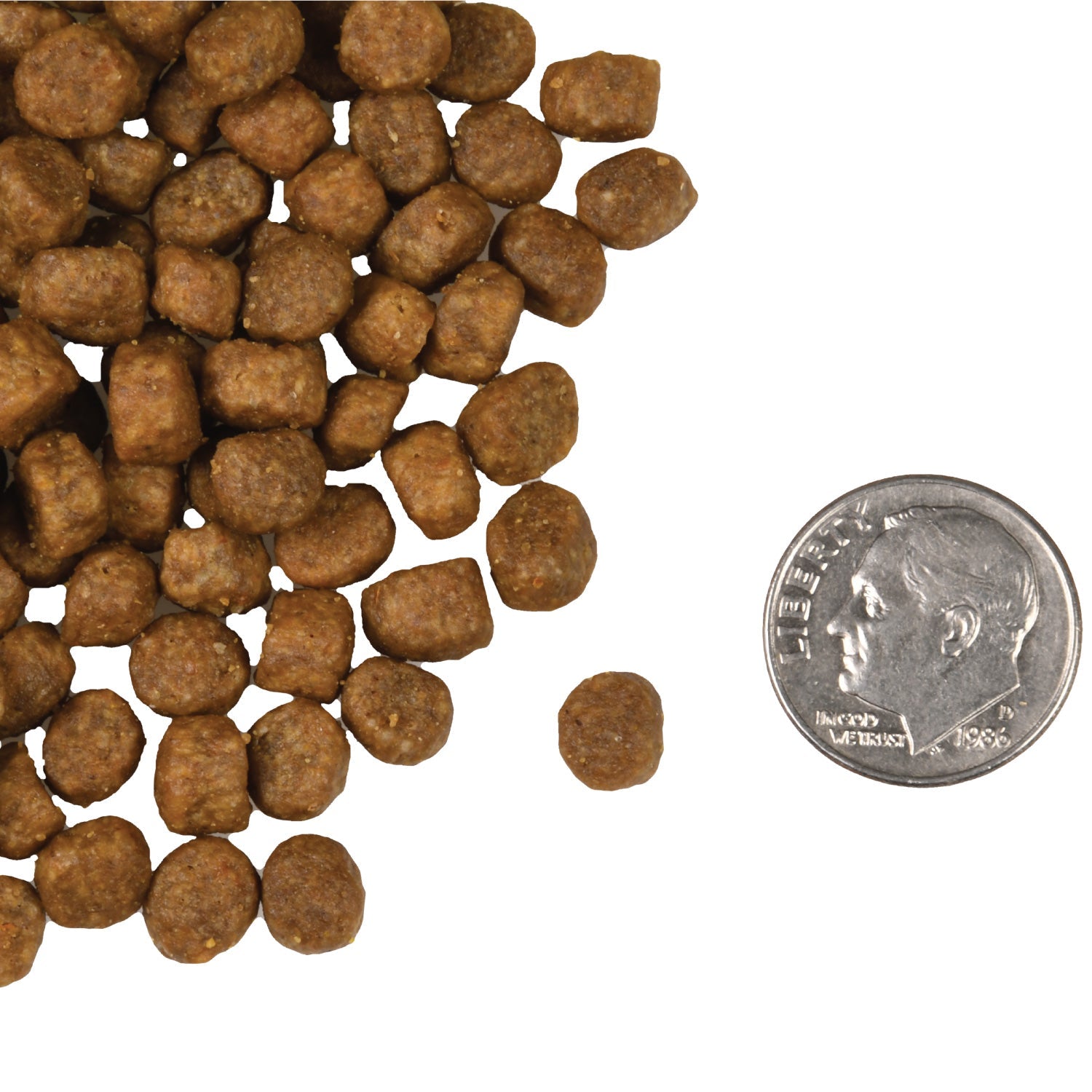A small pile of Fromm Four-Star Salmon À La Veg kibble next to a dime for scale