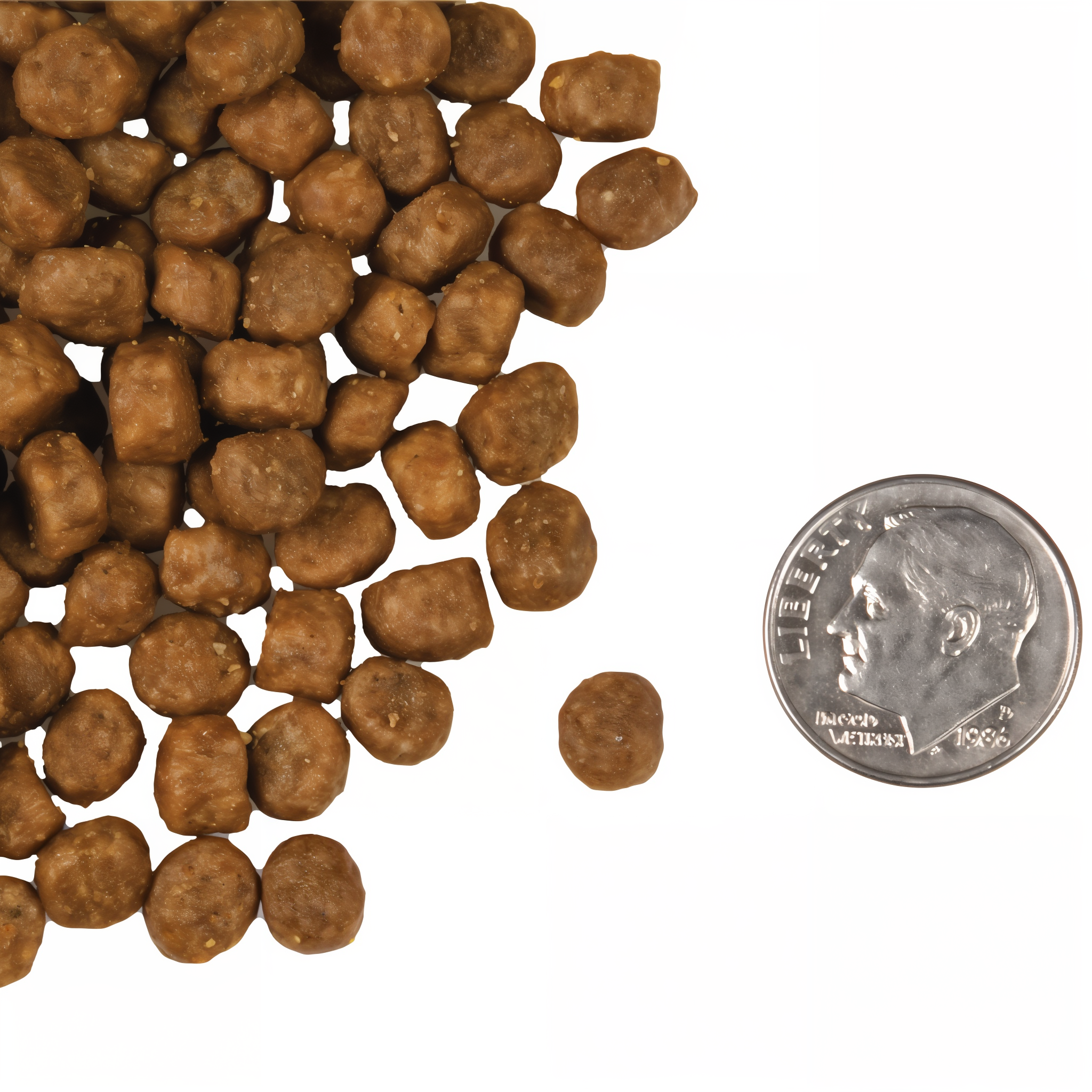 A small pile of Fromm Four-Star Salmon À La Veg kibble next to a dime for scale