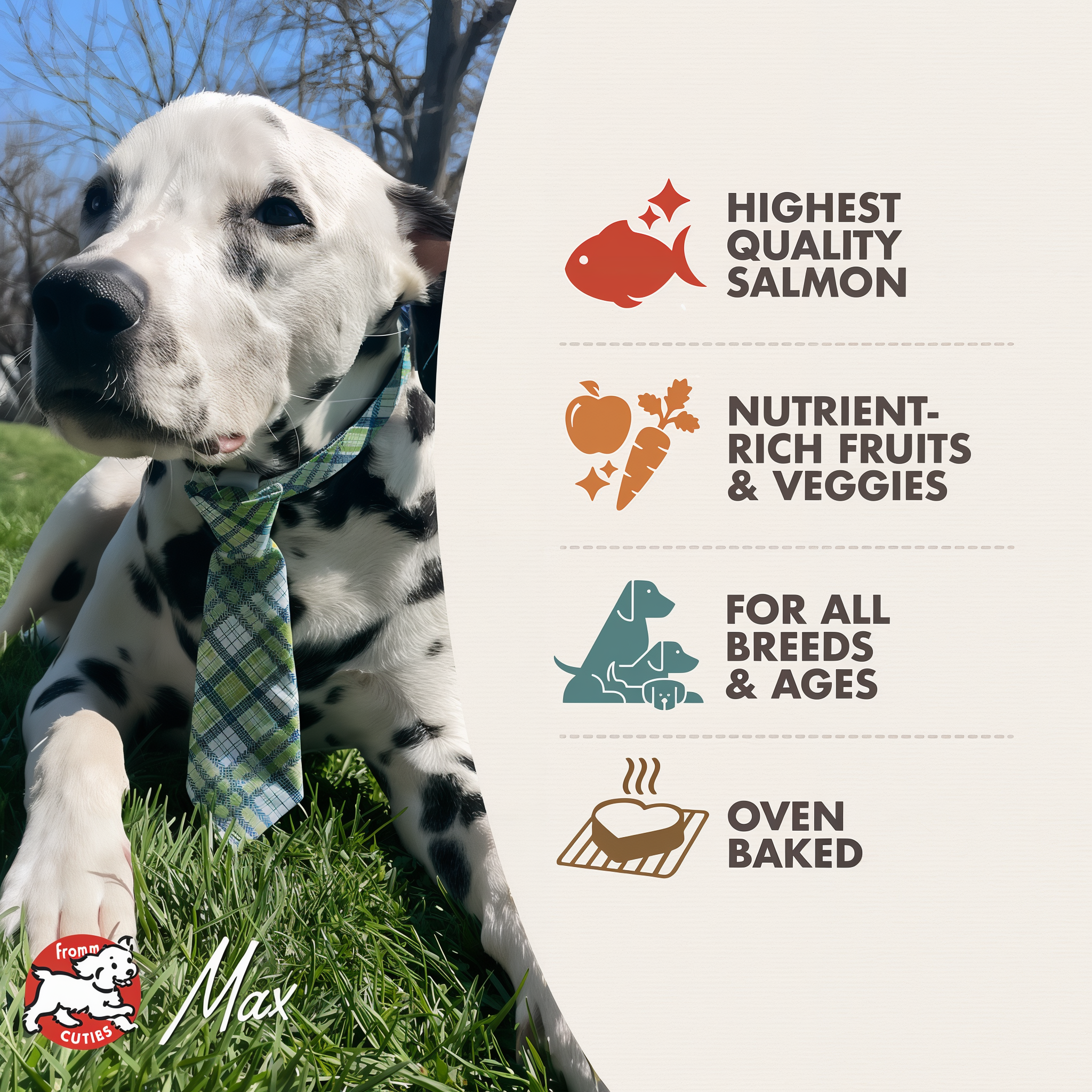 Fromm Cuties dog Max with Four-Star treat benefits: highest quality salmon, nutrient-rich fruits and veggies, for all breeds and ages, oven baked