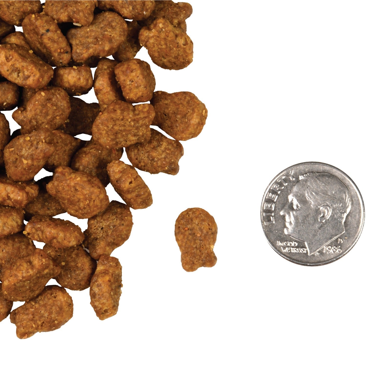 A small pile of Fromm Four-Star Salmon Tunachovy kibble next to a dime for scale