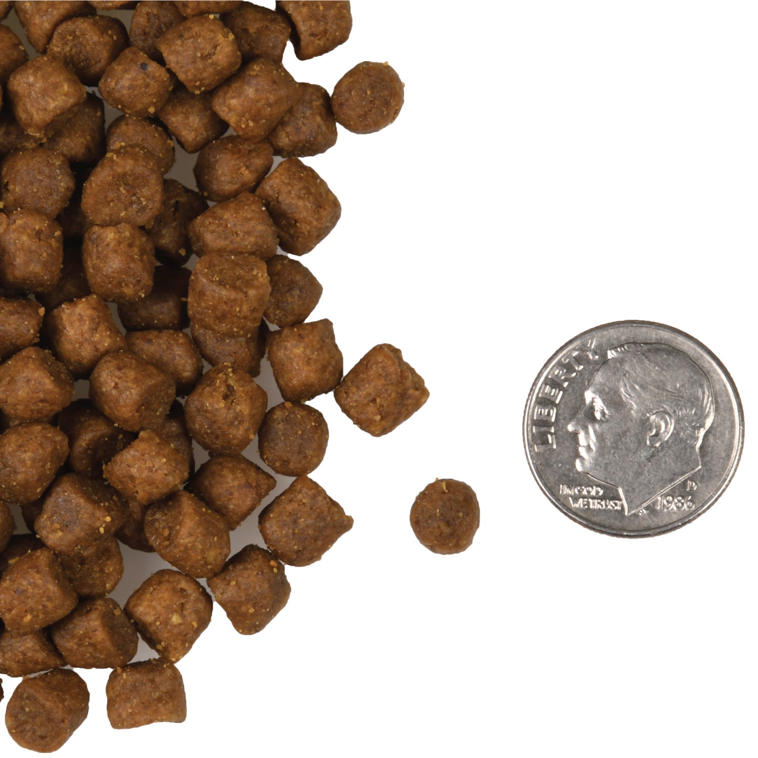 A small pile of Fromm Four-Star Surf & Turf cat kibble next to a dime for scale