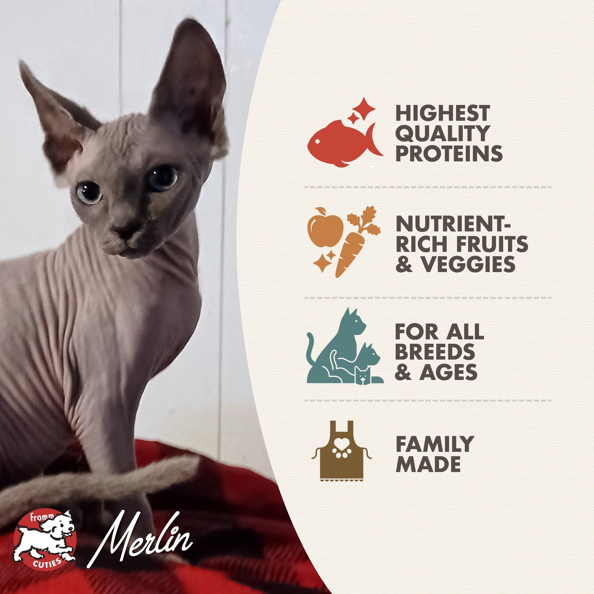 Fromm Four-Star Trout & Whitefish benefits: highest quality proteins, nutrient-rich fruits and veggies, for all breeds and ages, family made, with cat Merlin from the Fromm Cuties gallery