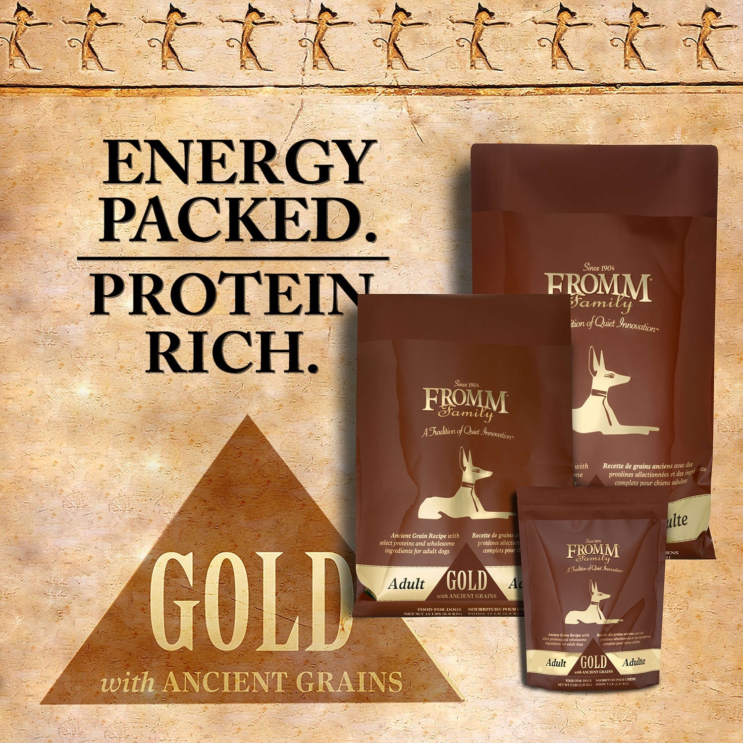 Energy packed, protein rich: Fromm Gold with Ancient Grains Adult bags on an Egyptian pyramid backdrop