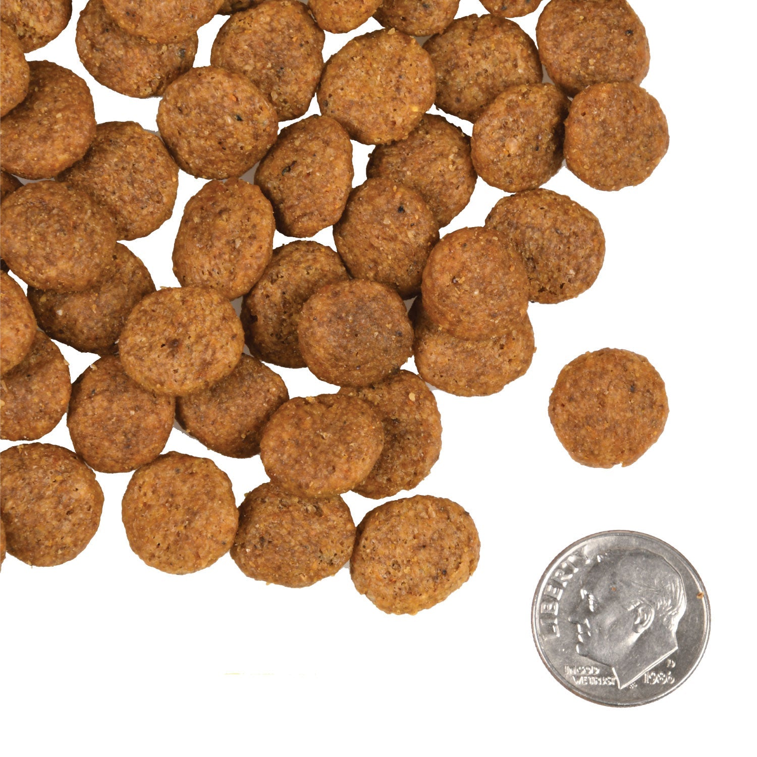 A small pile of Fromm Gold Coast Weight Management kibble next to a dime for scale