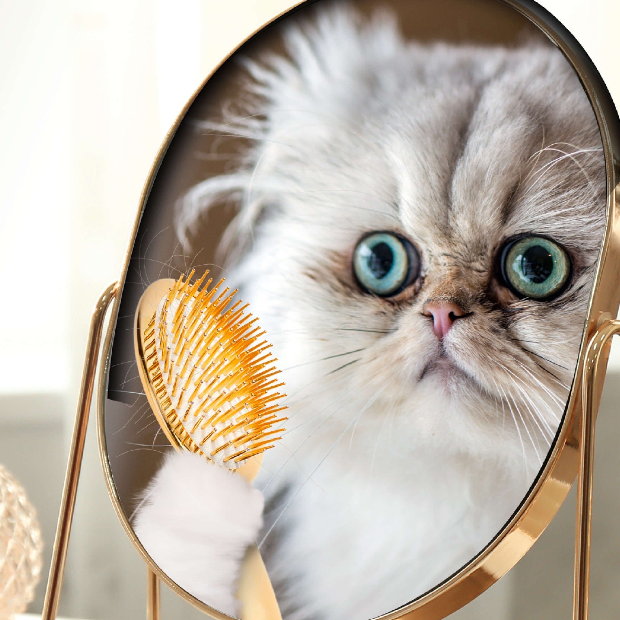 Longhaired cat looking into a gold vanity mirror beside a grooming brush full of loose hair